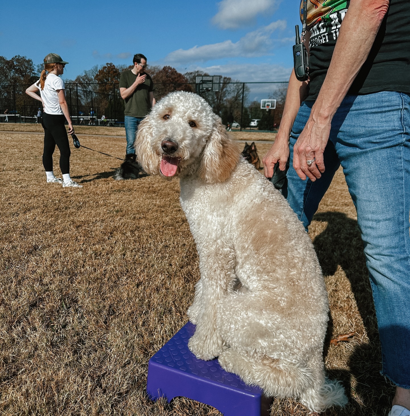 Megs attended her first group class last weekend!☀️🐶

There is no group class at either location this holiday weekend. Even though we don’t have group trainings don’t forget to get your dog moving!🥰

.
.
.
.

