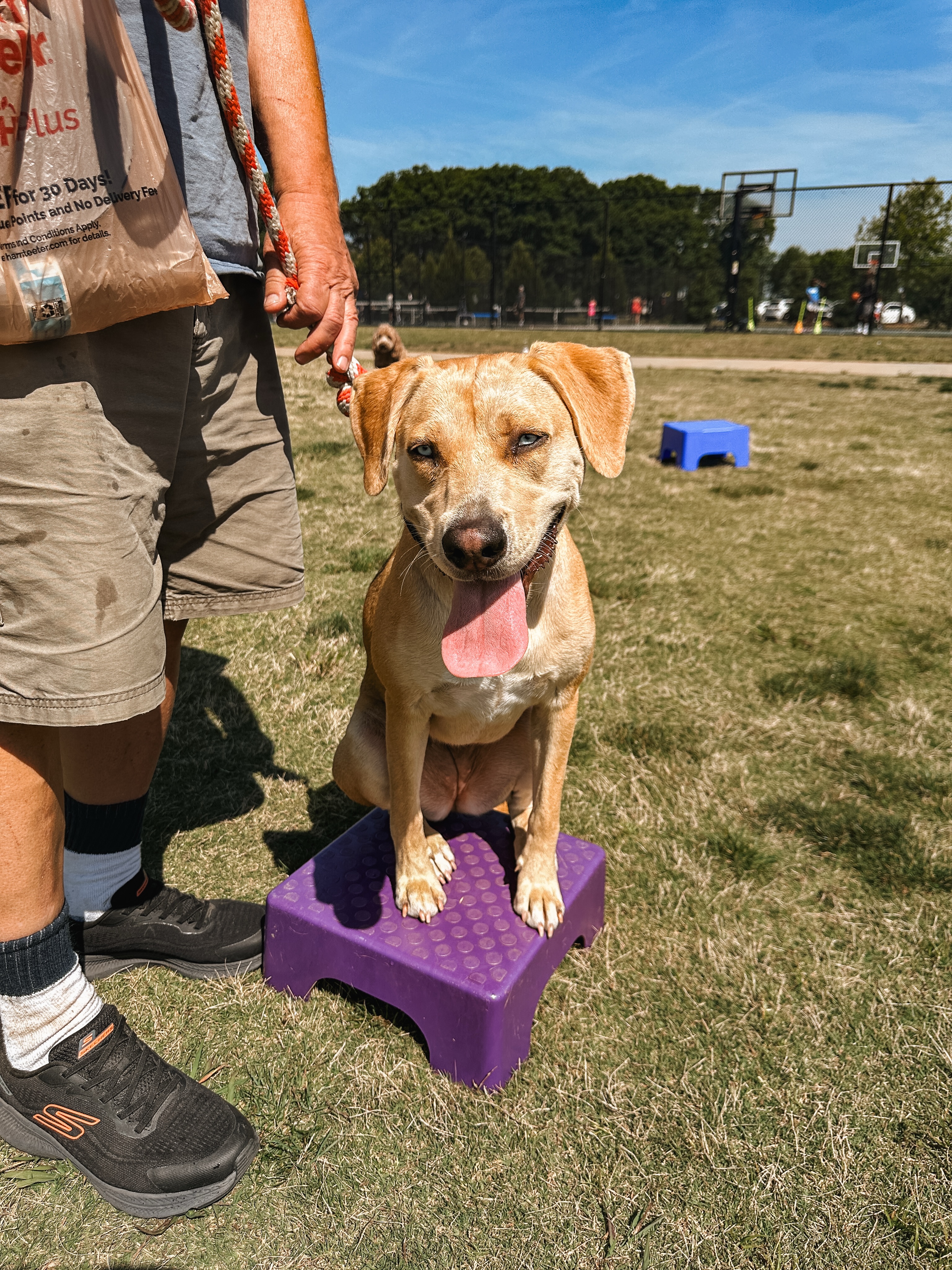 Hopefully the weather is more like this day👆🏼 on Saturday because we have group class this weekend 5/30!🐾

.
.
.
.

