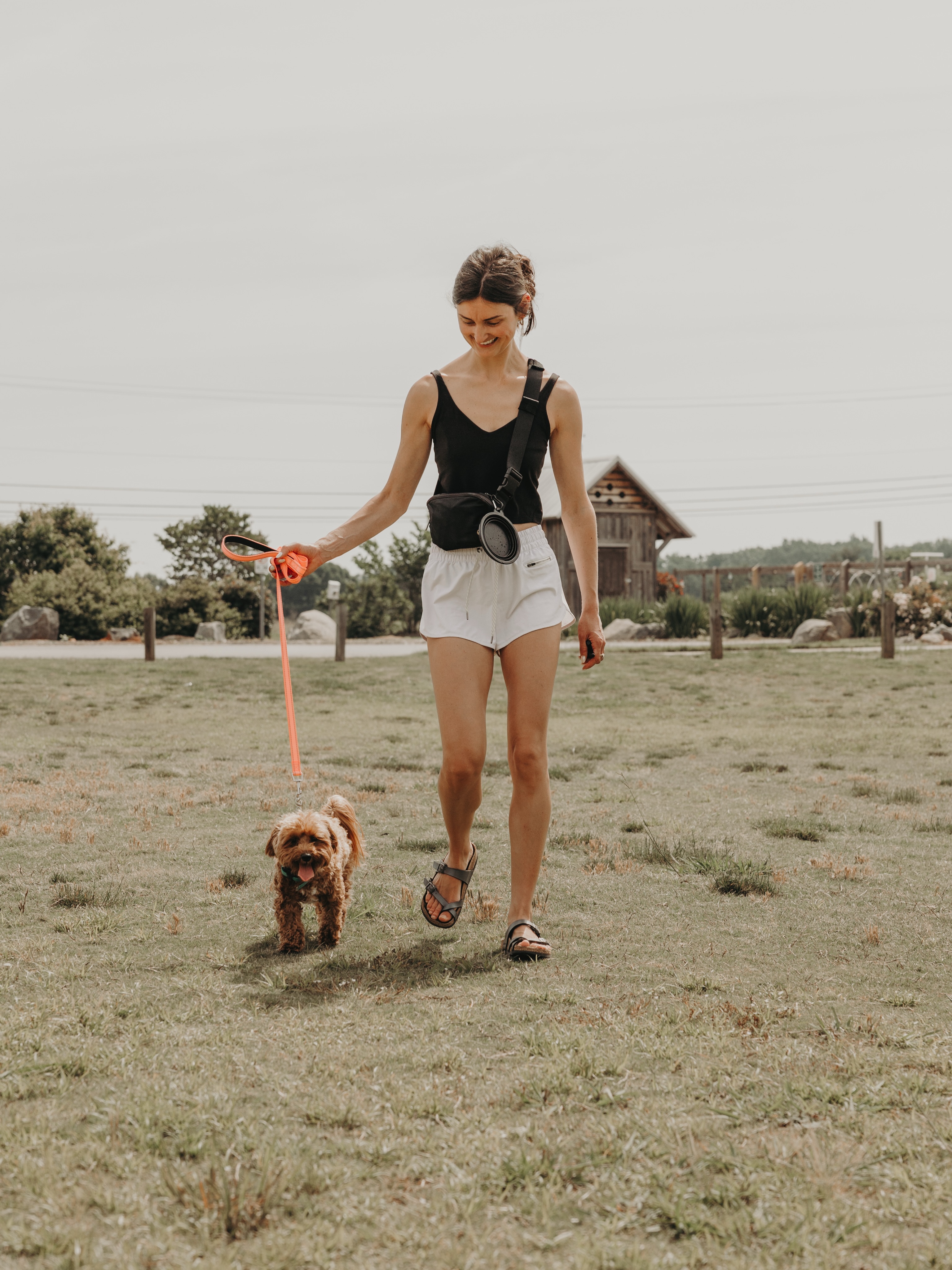 Our goal: to make training fun!🤩 (For both the dog and human!!!)

Looking for some help with your pup? Check out the link in our bio or call us at 989.680.2030 to get your dog training journey started!

.
.
.
.

