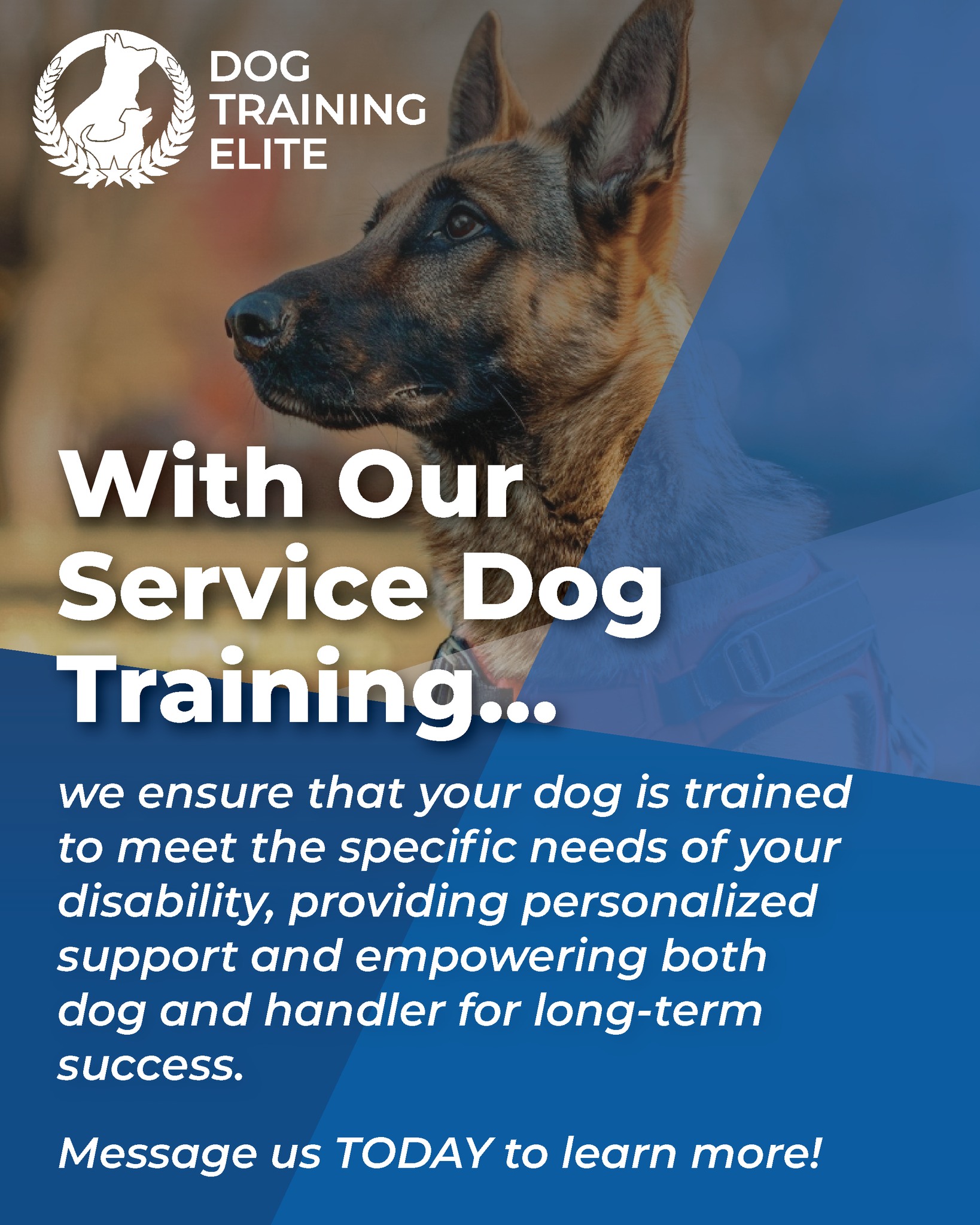 Training that transforms. Results you’ll be proud to show off. 🐾💙

📞 Call 224-335-9383 or visit dogtrainingelite.com/chicago to fetch your FREE evaluation today!