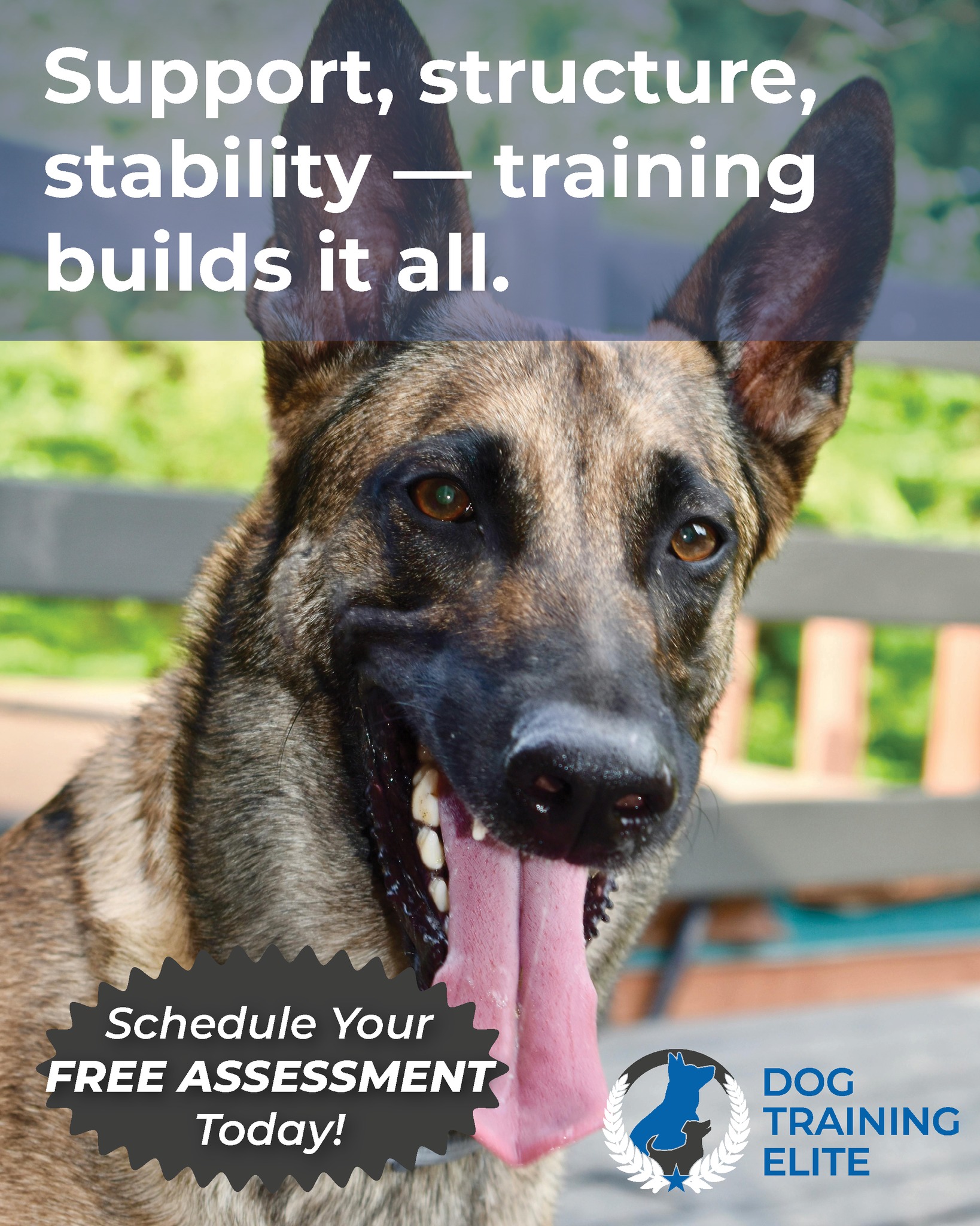 Training with trust. Results you’ll love. 💙🐾
📞 224-335-9383 | dogtrainingelite.com/chicago — Get your FREE evaluation!