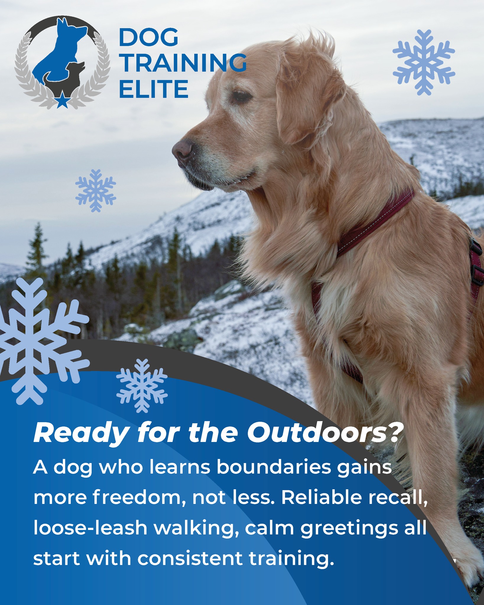 Where good dogs become GREAT dogs. ✨
📞 Call 224-335-9383 or visit dogtrainingelite.com/chicago for your FREE evaluation!