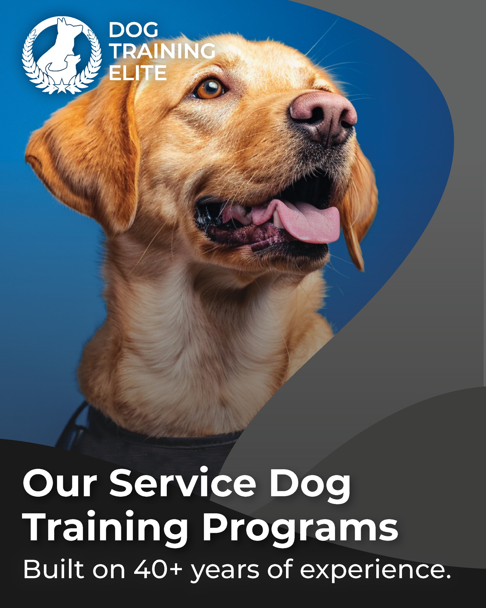 Confidence, manners, and a wagging tail to prove it. 🐶💙

📞 224-335-9383 | dogtrainingelite.com/chicago &mdash; Book your FREE eval!