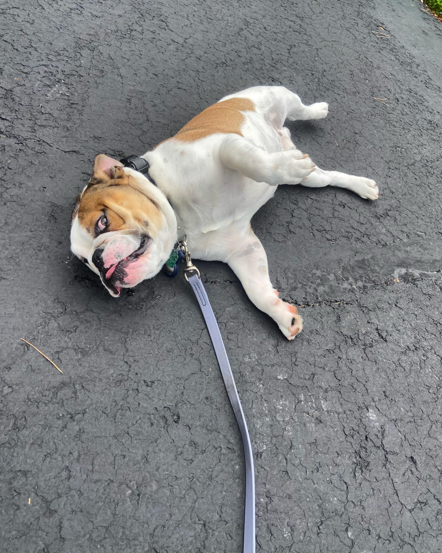 &ldquo;Just rub my belly it&rsquo;s hot!&rdquo; Tyson I&rsquo;ve only been here for 2 minutes but ok fine.