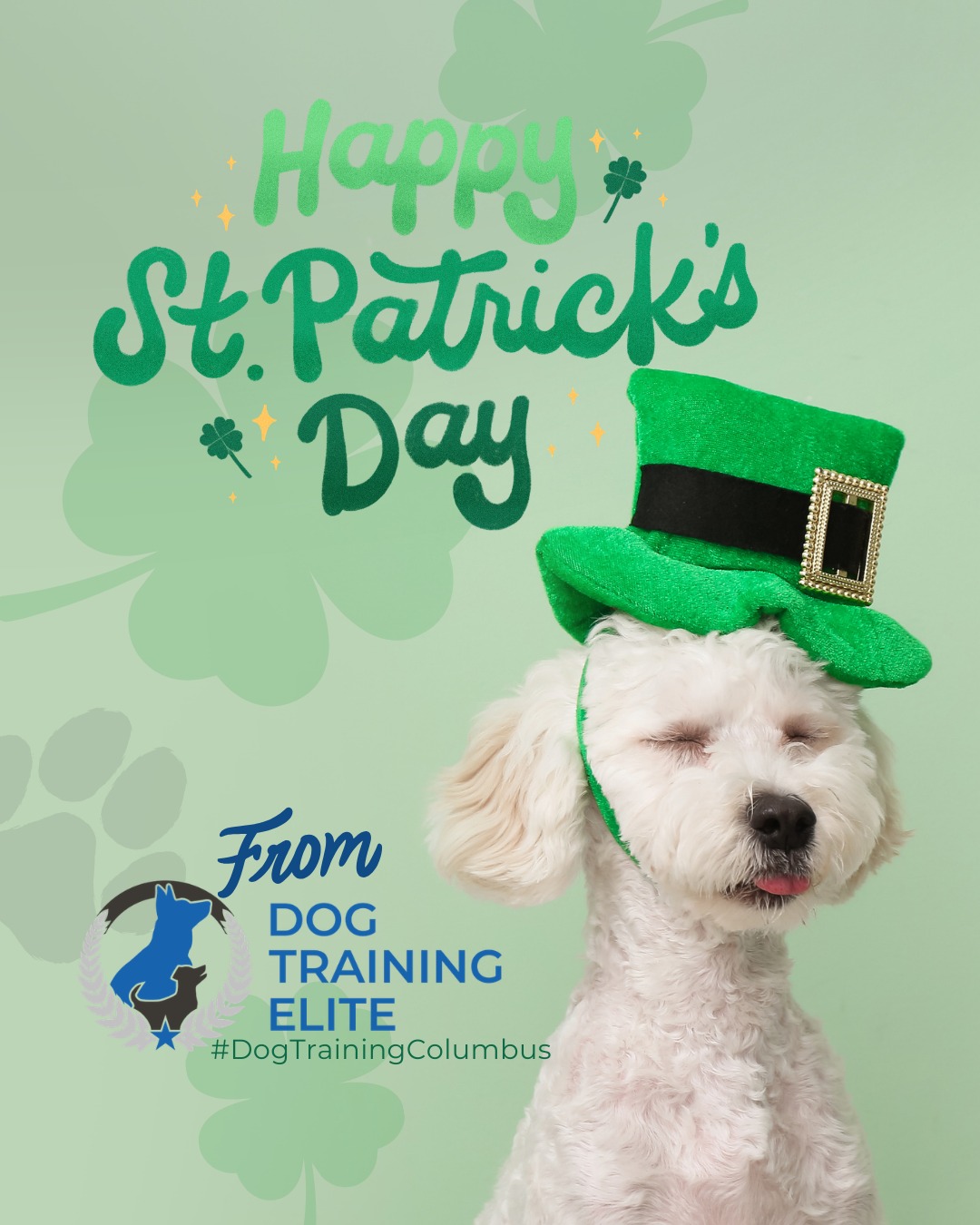 Our clients & their pups always make us feel the luckiest 🍀 

From DTE we want to wish you a St. Patrick&rsquo;s Day filled with extra playtime, confidence-building games, and fun training challenges. A little luck goes a long way when you&rsquo;re strengthening focus, calm behavior, and your bond. Show your dog some love and let them shine today!

🎯 Warm up your winter with a well-trained pup. Schedule your free in-home evaluation and see why families in Columbus, Hilliard, and surrounding areas trust Dog Training Elite for results that last through every season.
📍 https://maps.app.goo.gl/JwaYdXaHjbuPUPAg9



 