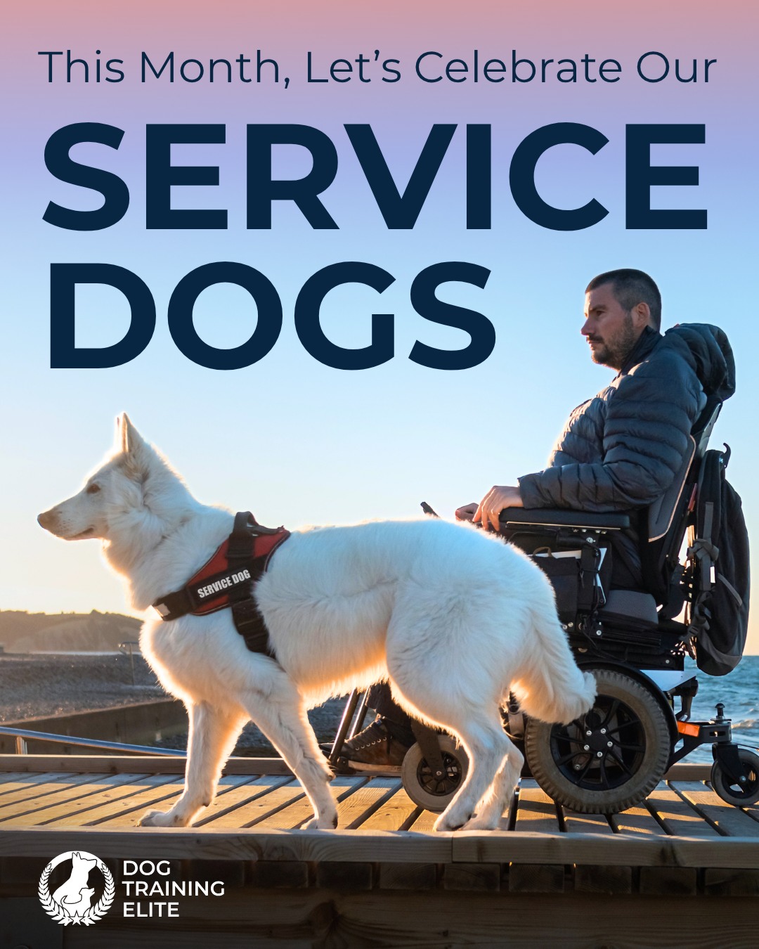 September is National Service Dog Month! 🐾💙

We're proud to celebrate the incredible service dogs who provide greater independence, confidence, and support to their handlers.

At Dog Training Elite Des Moines, our service dog program trains dogs to meet the specific needs of their handlers. We build a strong foundation of obedience before moving into specialized training for needs such as PTSD, anxiety, autism, mobility support, and more.

Call 515-771-0673 today to schedule your free consultation.

