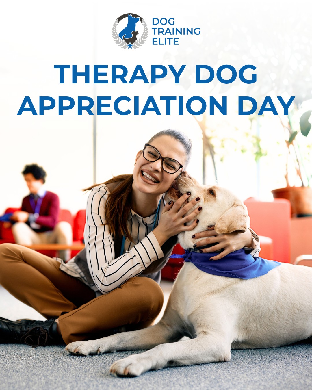 Today, we celebrate Therapy Dog Appreciation Day and the incredible dogs who bring comfort and support to our communities. 🐕&zwj;🦺❤️

At Dog Training Elite Des Moines, we are proud to help dogs and their handlers build the skills needed to serve with confidence.

Call 515-771-0673 today to learn more or get a free consultation.

