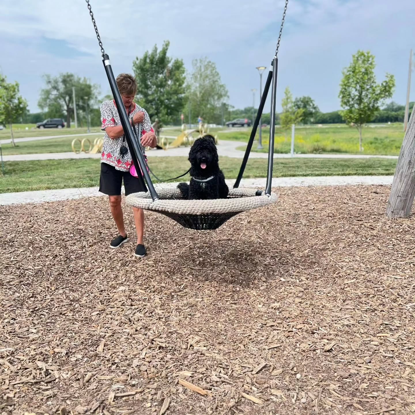 Add a picture below of your dog doing the place command somewhere fun!!