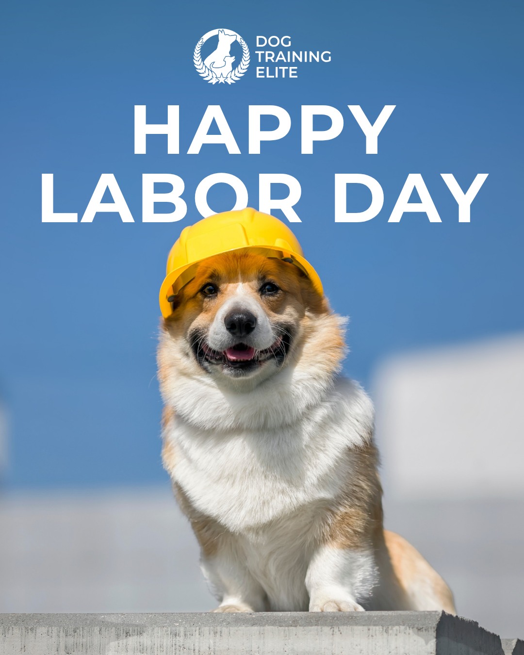Happy Labor Day from all of us at Dog Training Elite Des Moines! 💙🐶

We hope you enjoy a well-deserved day of rest with family, friends, and your four-legged companions!

