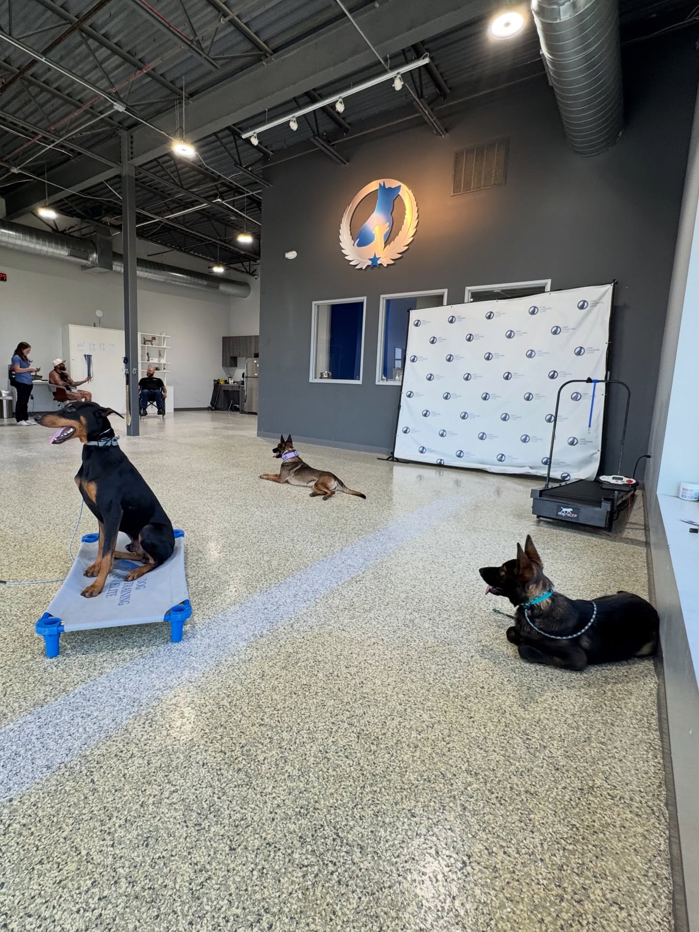 Dogs individually or in a pack both need to know how to act, but not every owner knows how to train&mdash;or even handle, their pack. 

That is where our professional dog training programs can bridge the gap. 

🏆 Award winning and ready to help you and your dog establish communication, build trust, and strengthen your bond. 

Simply click, fill out, and submit the form linked in our profile to learn more or get started! 

