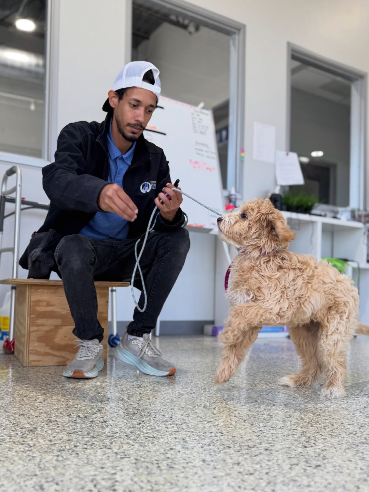 Imagine your dog settles on their bed while the family eats ✨  no begging, no pacing, no drama.

Imagine grabbing lunch on a patio and your dog stays calm and composed at your side.

Imagine: &ldquo;Crate time&rdquo; becomes the exception, not the routine&mdash;because your dog can be trusted in the house.

🐾 Now make it a reality by submitting the contact request linked in our bio now 

