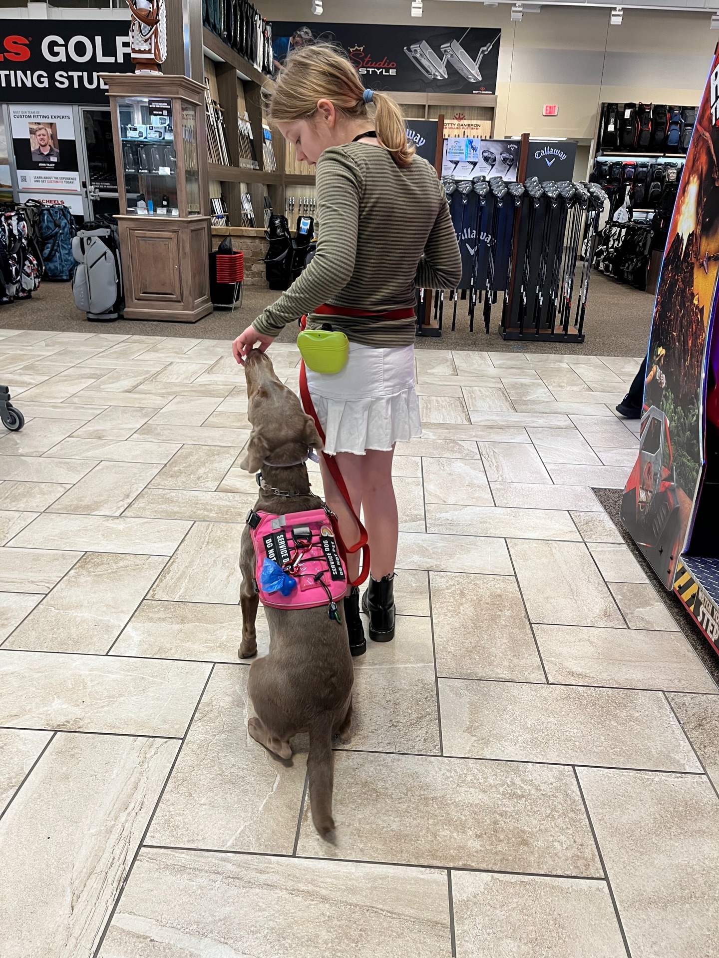 Service work is not social work but it does include being able to handle themselves in any social setting or situation. 

🐾 If your dog needs help social or service training use the link found in our bio to map out the best training options.

