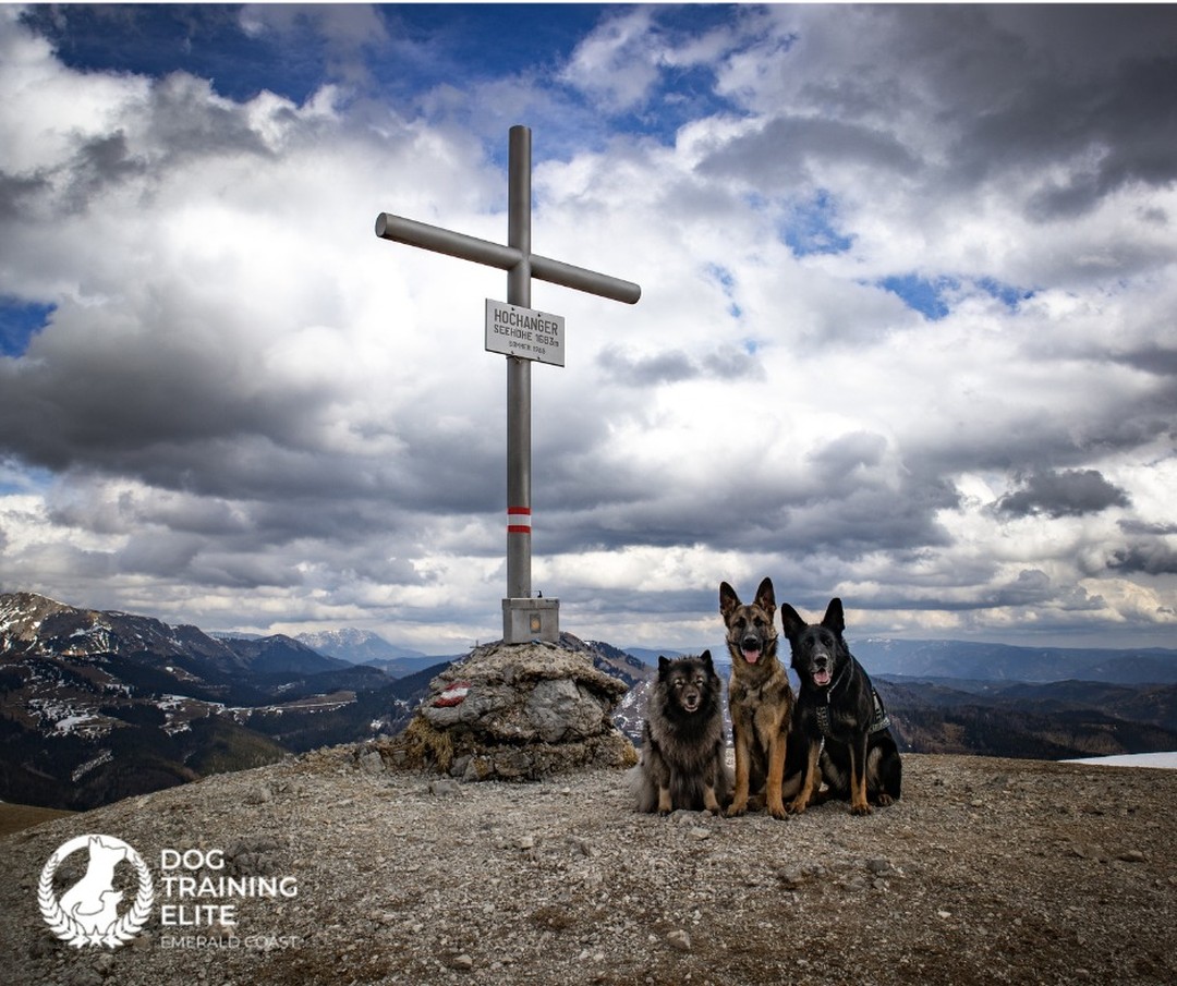 Wishing you a blessed Easter!!

