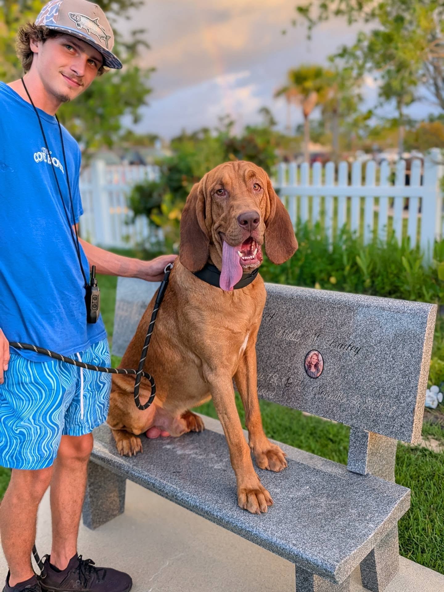 🐟 Meet Fishstick 🐟

This 2 year old Bloodhound is full of personality and, with a new baby in the house, Fishstick's owners wanted to make sure his obedience was solid. They were also concerned about the resource guarding of their clothing.

We started his training journey late July with private lessons. Those are complete and now he is able to join us in group class, where we will continue to refine his training.

Welcome to the pack Fishstick! We look forward to watching you continue to meet your training goals! 💙

