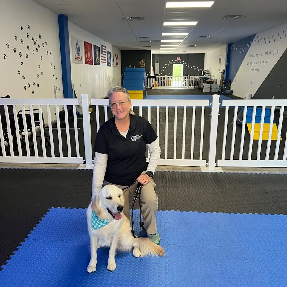 Meet Winnie 🤩

Today is her first day of a 3 week Elite Training Camp. She is in training to be a therapy dog for the local school district. Winnie is pictured here with Dog Training Elite Emerald Coast owner and training director Tina Ruffin. Welcome to the pack, Winnie!