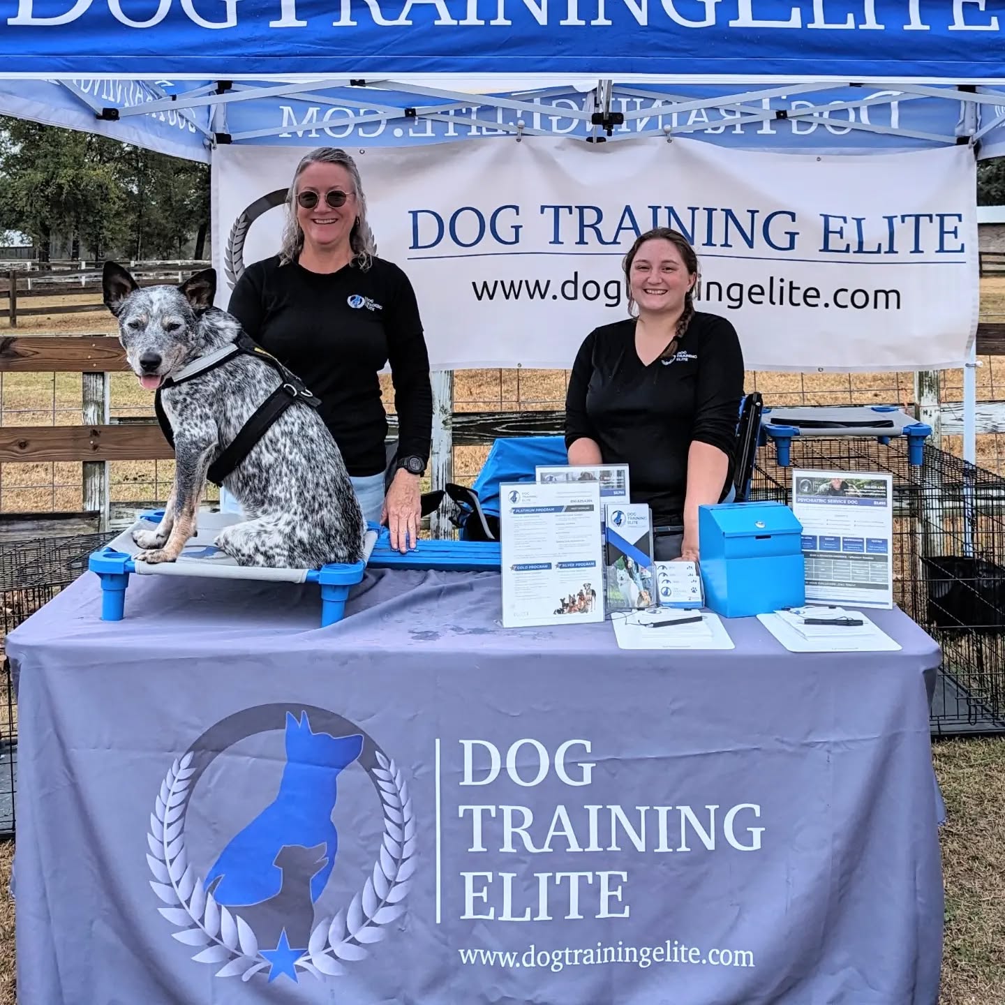 Adoption event has kicked off at Heartland Rescue Ranch and we are ready!