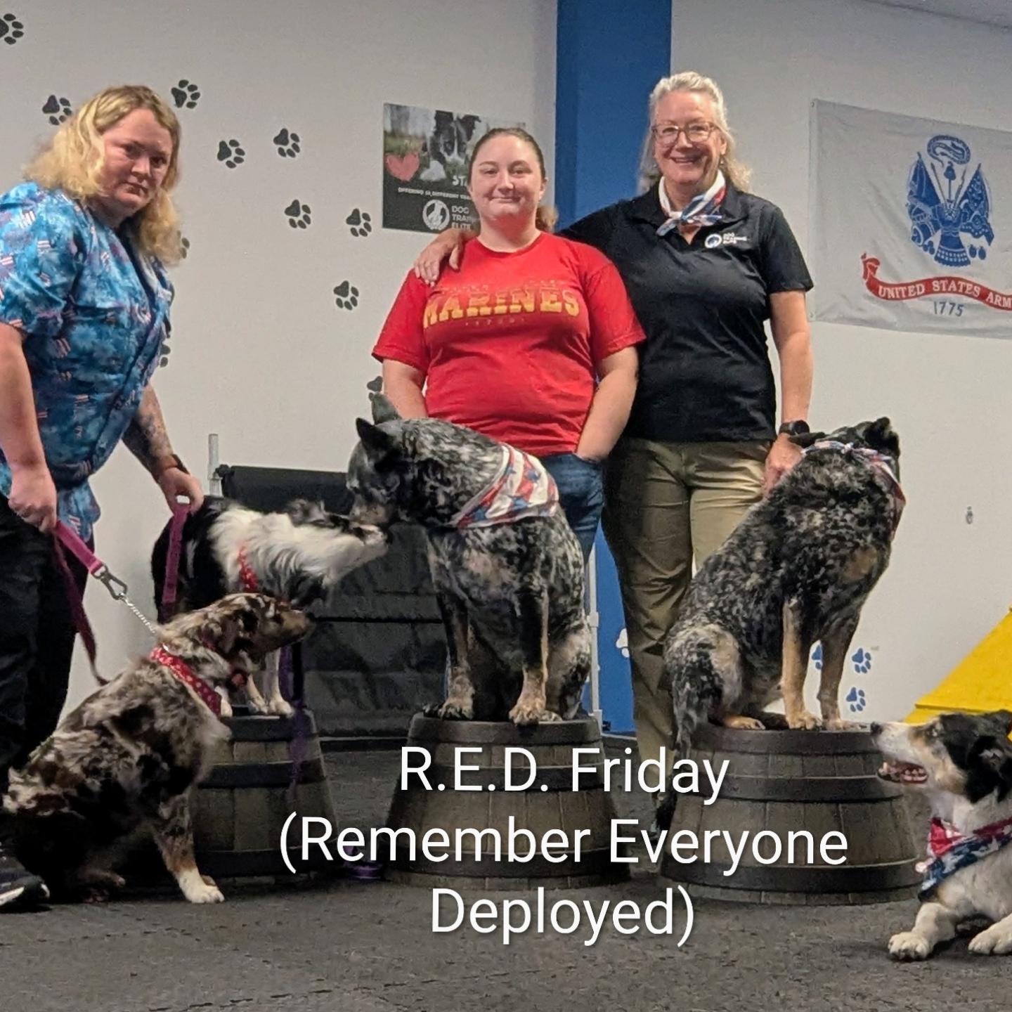 The whole pack is honoring R.E.D. Friday wearing USA colors either as a shirt or dog bandana 🇺🇸

Nikki is Navy vet, Lily's fiance is a Marine vet and Tina's son is active duty and on deployment 💙

