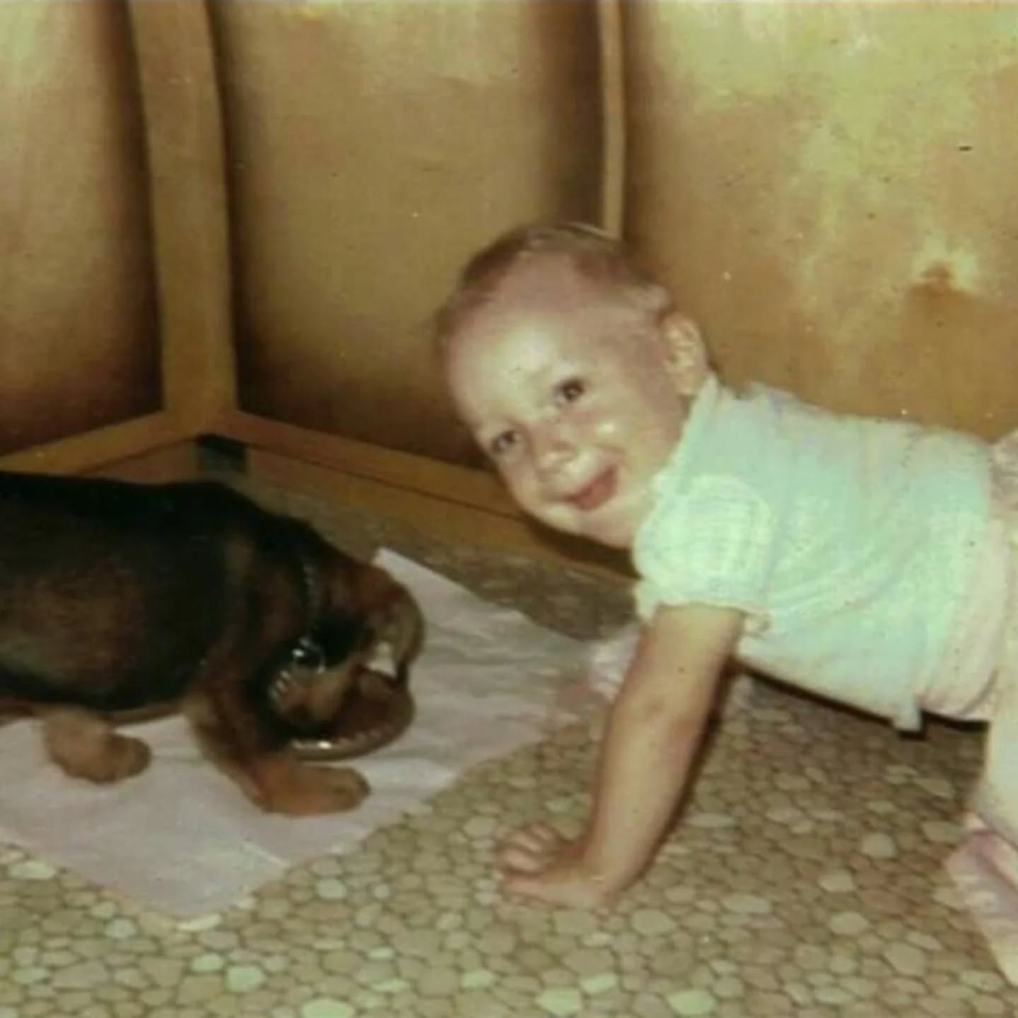 People often ask, how long have you been training dogs?

To truly train dogs, you have to understand them...and let's just say the research started early. Yes, this is Baby Tina and her pooch in the mid-a long time ago. 😉

This little girl is a lot older now, but you can often find her doing the same exact thing... getting down to the dog's level, gaining their perspective and trying to figure out what they're thinking.

My life long curiosity and commitment to our canine friends will never stop.

Tina Ruffin 
Owner/Training Director

