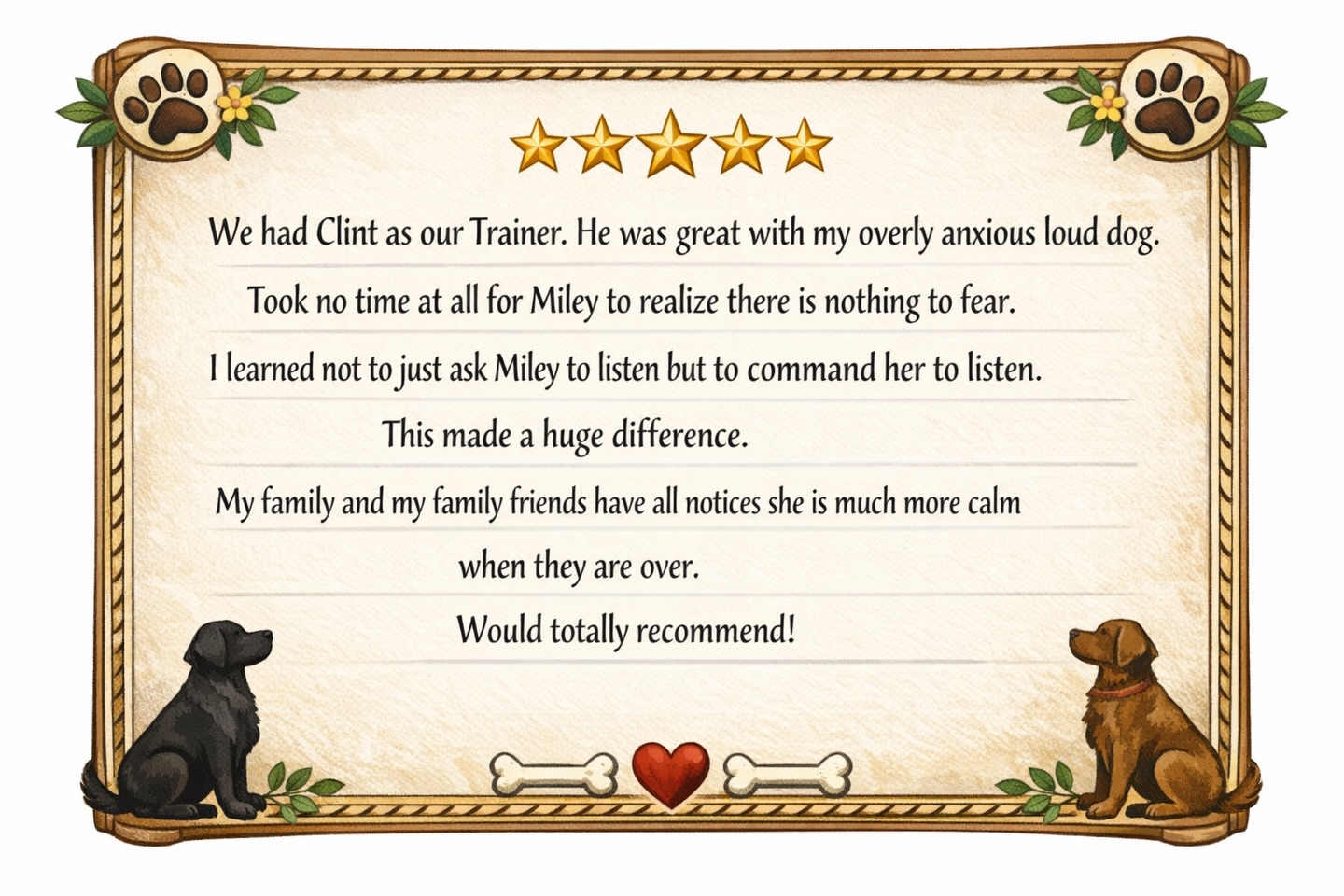 👀 ⭐️ ⭐️ ⭐️ ⭐️ ⭐️ 👀