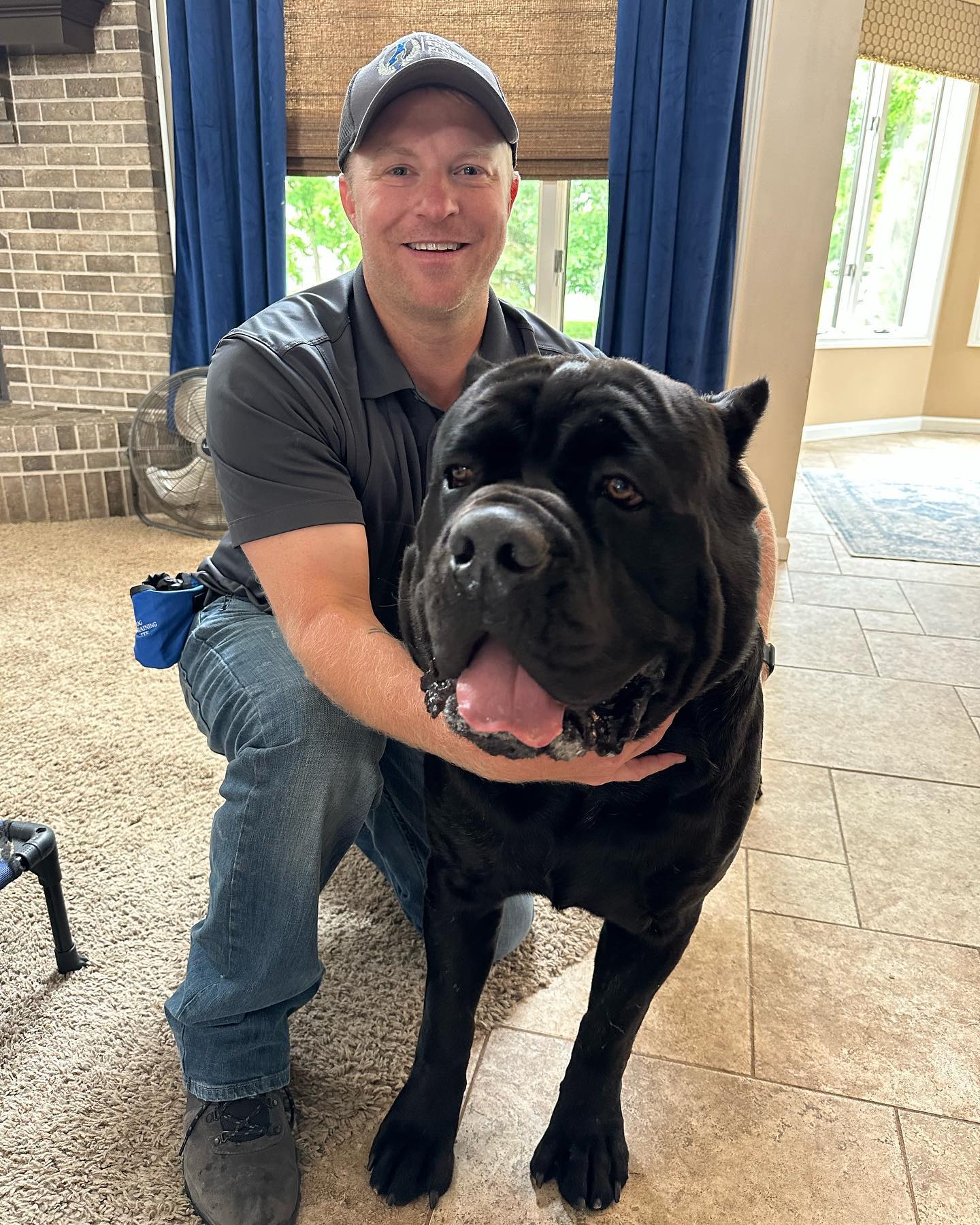 Meet Riot! 👋🏻 Here is Clint next to him just for size comparison. We train ALL DOGS- all sizes, all breeds, all ages. Yesterday was Riot&rsquo;s first obedience training session and he did great! 
🐾 DogTrainingElite.com/Fort-Wayne
📞 260-544-6888

