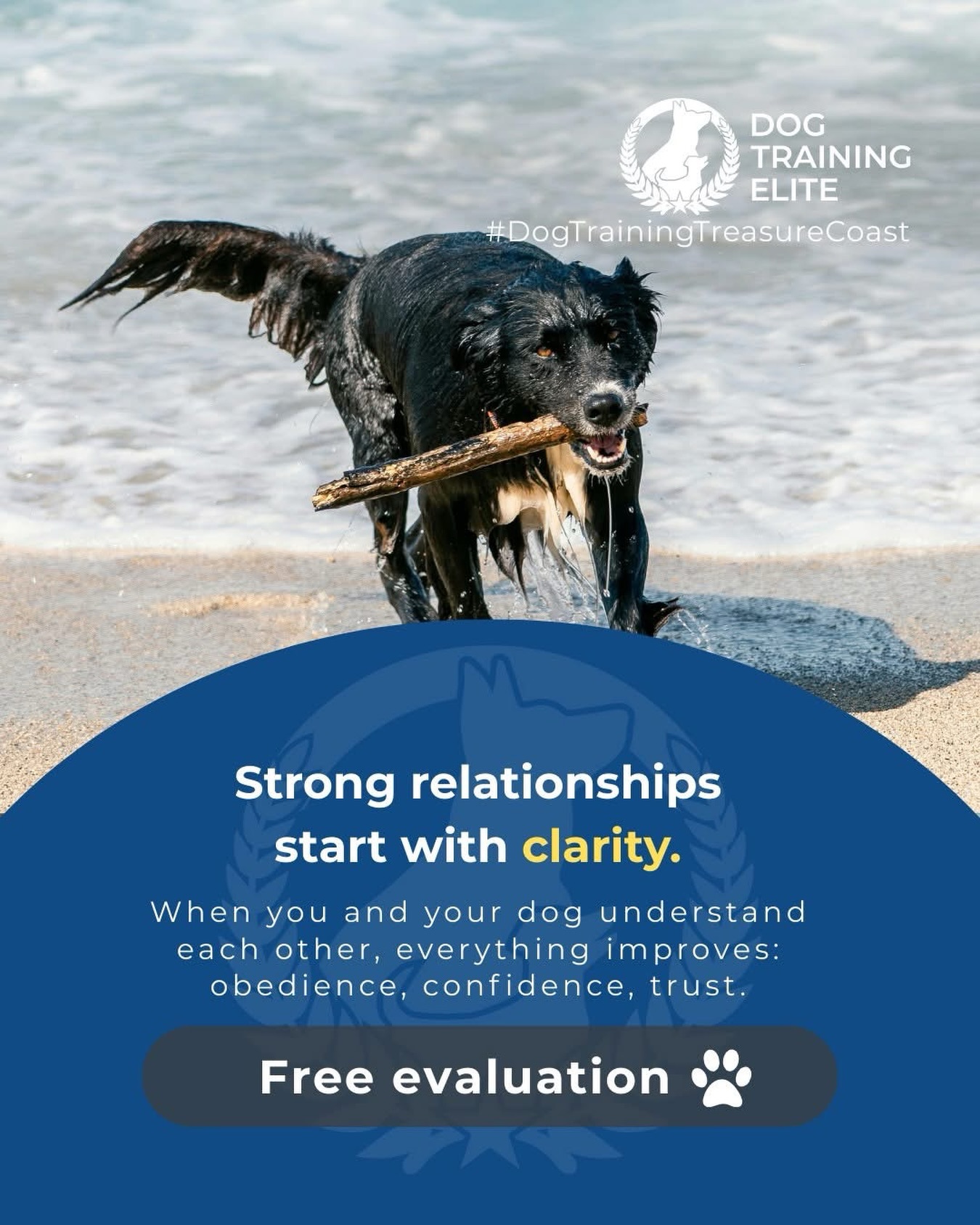Strong relationships start with clarity. 🐾✨

When your dog clearly understands what&rsquo;s expected, everything changes &mdash;
✔️ Obedience improves
✔️ Confidence grows
✔️ Trust gets stronger

We don&rsquo;t just train dogs.
We coach owners. 💪

Because when YOU have the tools, your dog succeeds for life. 🐶🔥

Ready to build a better relationship with your dog?

📲 Schedule your FREE evaluation today!

📞 260-544-6888
🌐 dogtrainingelite.com/fort-wayne

