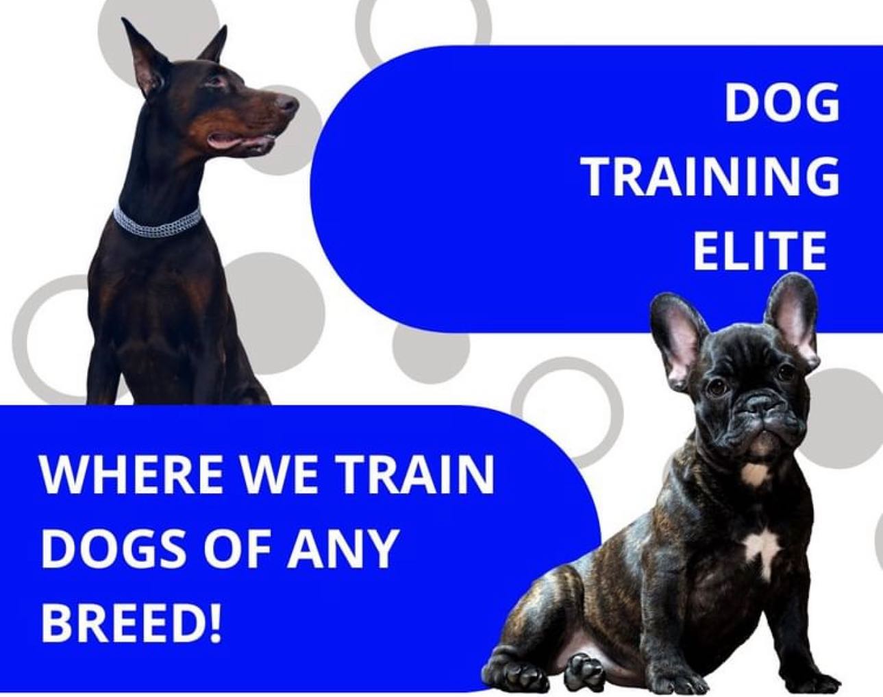 Elite, Never Mediocre! 🐾 
(260)544-6888
DogTrainingElite.com/Fort-Wayne

