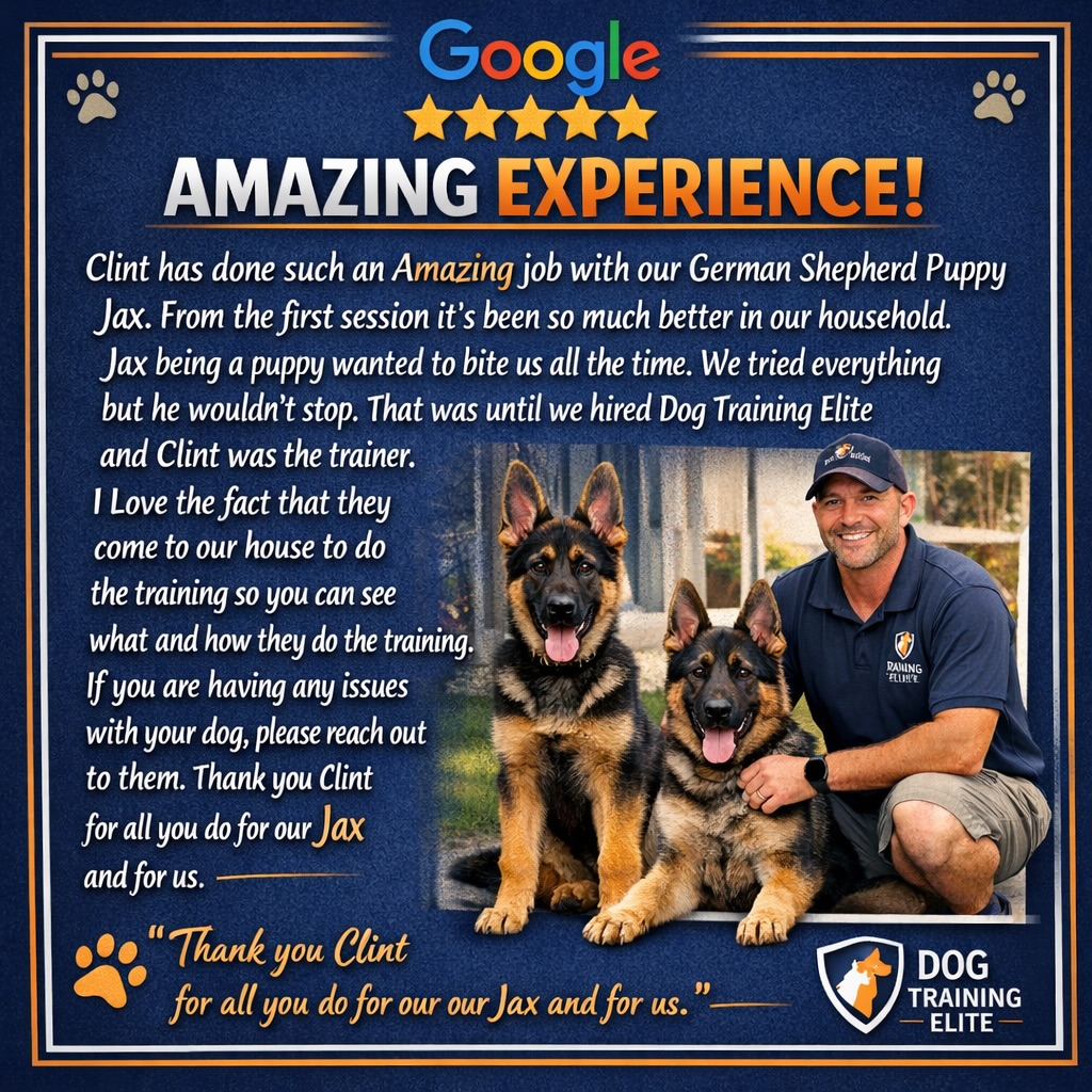 ⭐️ ⭐️ ⭐️ ⭐️ ⭐️