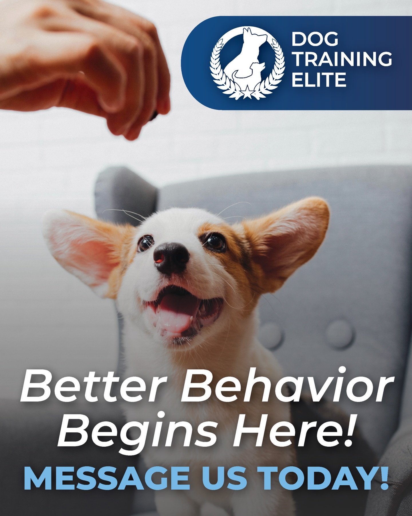 🐾 Better Behavior Begins Here! 🐾

Is your dog ready to become the well-mannered companion you&rsquo;ve always dreamed of? At Dog Training Elite Northeast Indiana, we specialize in transforming dogs of all ages and breeds through proven, personalized training programs.

Whether you&rsquo;re dealing with obedience challenges, reactivity, or simply want a more confident and reliable pup, our expert trainers are here to help every step of the way.

✨ Our Services Include:
✔️ Puppy Training
✔️ Basic & Advanced Obedience
✔️ Behavior Modification
✔️ Service & Therapy Dog Training
✔️ Off-Leash Training

📞 Call us today: 260-544-6888
🌐 Visit us online: https://dogtrainingelite.com/fort-wayne

Start your dog&rsquo;s journey to better behavior today! 🐶

