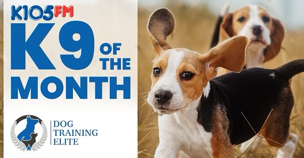 Submit a photo of your four-legged friend for a chance to win a Puppy Prize Pack sponsored by Dog Training Elite and Milan Center Feed & Grain. 
https://www.k105fm.com/contests/k9-of-the-month
@k105fm