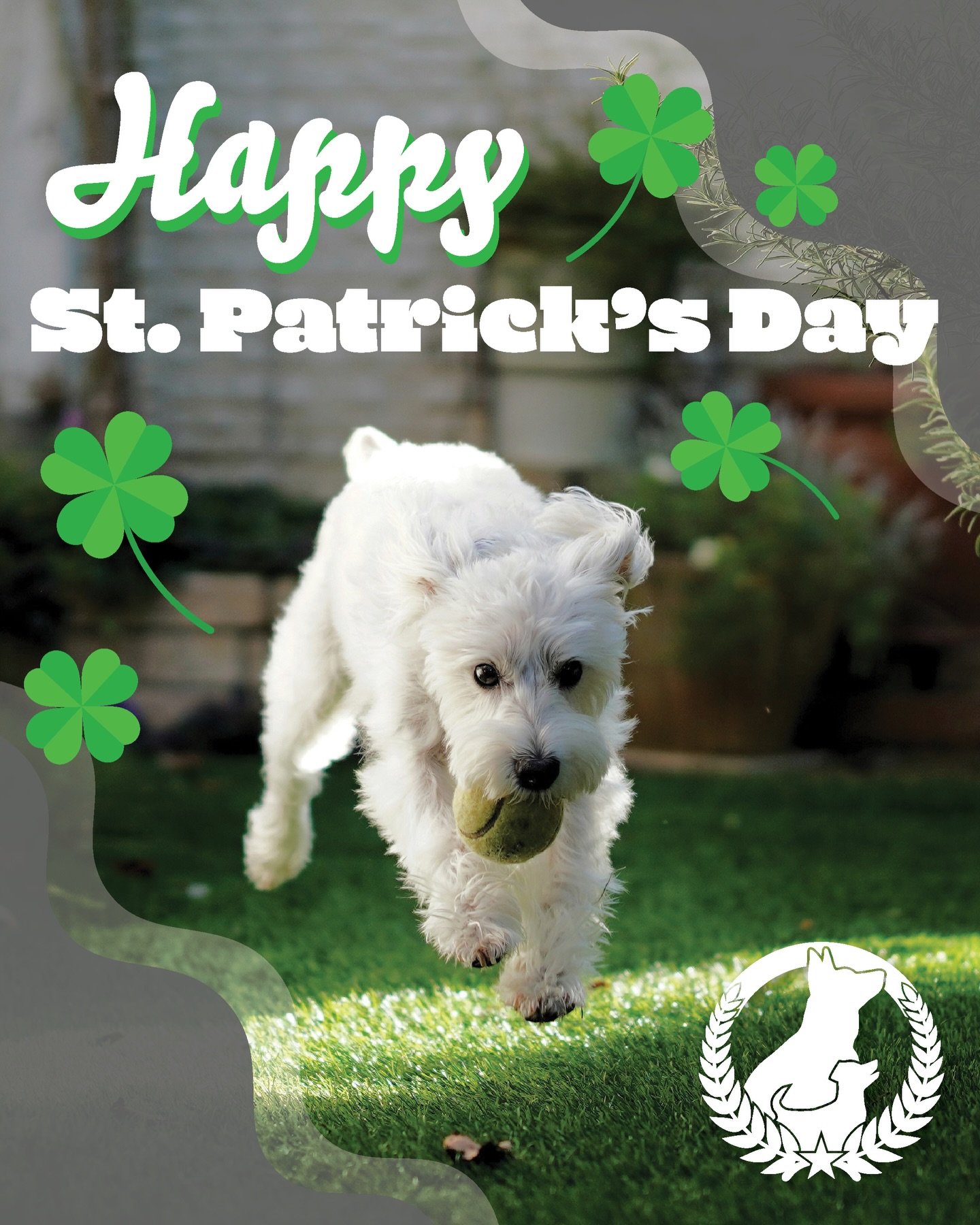 🍀 Happy St. Patrick&rsquo;s Day from Dog Training Elite Northeast Indiana 🍀

A well-trained dog isn&rsquo;t about luck&hellip;it&rsquo;s about consistency, structure, and clear communication.

Whether it&rsquo;s recall, obedience, or off-leash control&hellip; results come from doing the work the right way.

If your dog only listens when it feels like it, it&rsquo;s time to change that.

📩 Message us to get started.