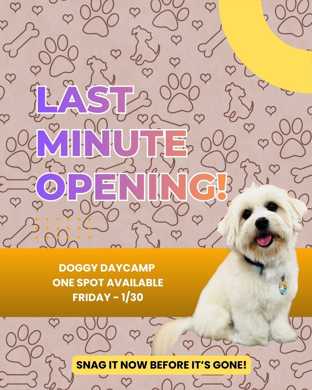 🚨 Last-Minute Opening! 🐾

We had a late cancellation and now have ONE coveted Doggy Daycamp spot available tomorrow (1/30) from 9am&ndash;3pm! This is a great opportunity to get your pup in for a full day of structured play, training, and fun.

👉 Snag the spot now &mdash; these last-minute openings go fast and won&rsquo;t last long!

Sign up using your your sign-up genius link (the same one you use for group class) - reach out if you need it and we can re-send it to you!