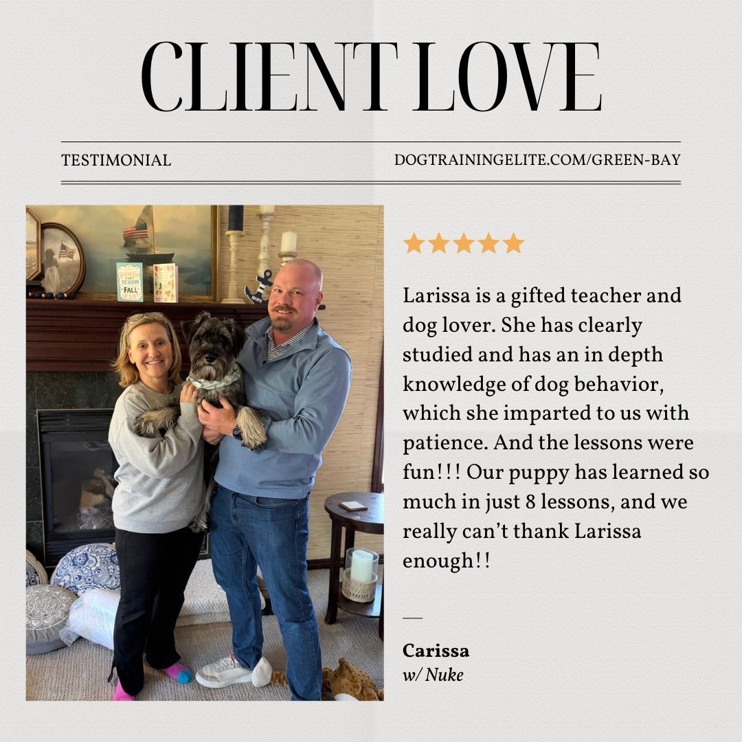 ⭐ WE LOVE HEARING FROM OUR CLIENTS! 🐾

Another wonderful review for Trainer Larissa! 💙 We&rsquo;re so grateful to every family who takes the time to share their experience and let us know how training has made a difference for them and their pup. 🐶✨

Larissa brings patience, consistency, and dedication to every training journey&mdash;and we&rsquo;re proud to have her helping dogs and their families succeed! 👏🐾

Thank you for trusting Dog Training Elite with your four-legged family members! ❤️

