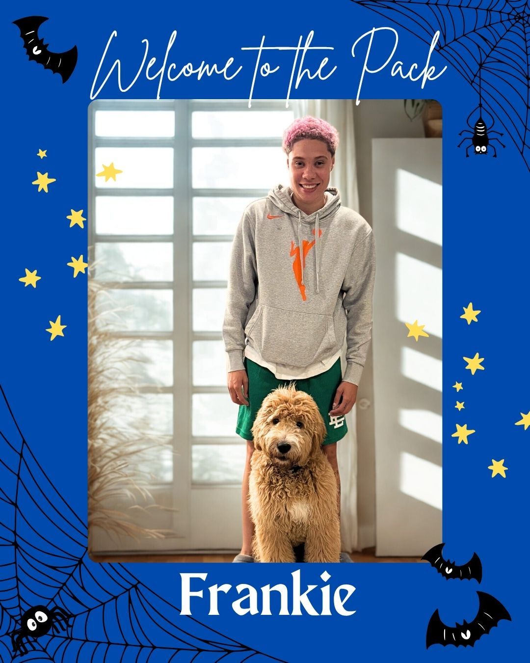 🐾✨ WELCOME TO THE PACK, FRANKIE! ✨🐾

Big paws to fill and even bigger goals ahead! 💪💙
Frankie is officially starting his journey through our Platinum Plus Elite Training Camp, where he&rsquo;ll be working hard to become a service dog for none other than @natishaheideman, guard for the @minnesotalynx of the @wnba! 🏀🐶

From courtside crowds to high-energy events, Frankie will need top-tier obedience, focus, and confidence  and we know he&rsquo;s more than ready for it! 🙌

We can&rsquo;t wait to see Natisha and Frankie grow together and become an unstoppable team both on and off the court! 💫💚

👇 Drop a 🐕&zwj;🦺 in the comments to cheer Frankie on as he starts this amazing new chapter!

