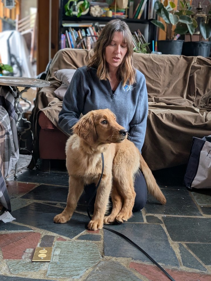 Good manners start at home, not just on a quiet walk. 🐶

Dog Training Elite Greater Cincinnati helps families in Cincinnati, Dayton, and Middletown build real-life skills with in-home dog training that fits your routine. Our professional dog trainer team uses a balanced training approach using praise, treats, and minimal corrections, so your dog understands what to do even when summer distractions show up.

Need help beyond the basics? We can guide you through dog obedience training, behavior training for dogs, and advanced dog training when you&rsquo;re ready to level up. We also offer service dog training for specific goals, with programs customized to your needs and your dog&rsquo;s needs.

✔ Puppy obedience training and early manners
✔ Aggressive dog training and reactive behavior support
✔ Coaching so you can keep the progress going at home 🦴

Ready to stop searching &ldquo;dog trainer near me&rdquo; and get a plan that makes sense? Reach out today and someone from our team will reach out shortly to help schedule your evaluation. 📍