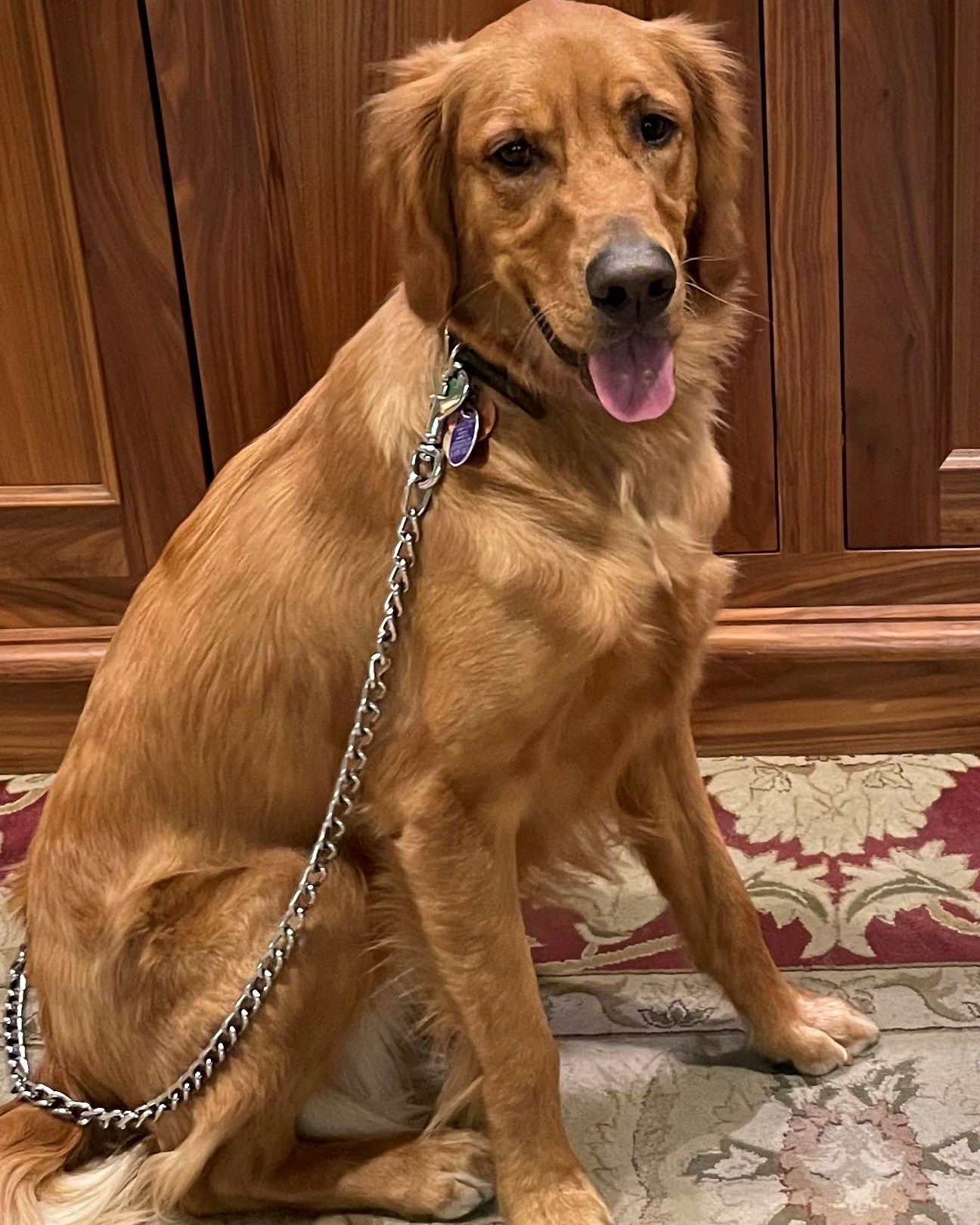 It's Friday and we're all smiles and tail wags! 😁🐶