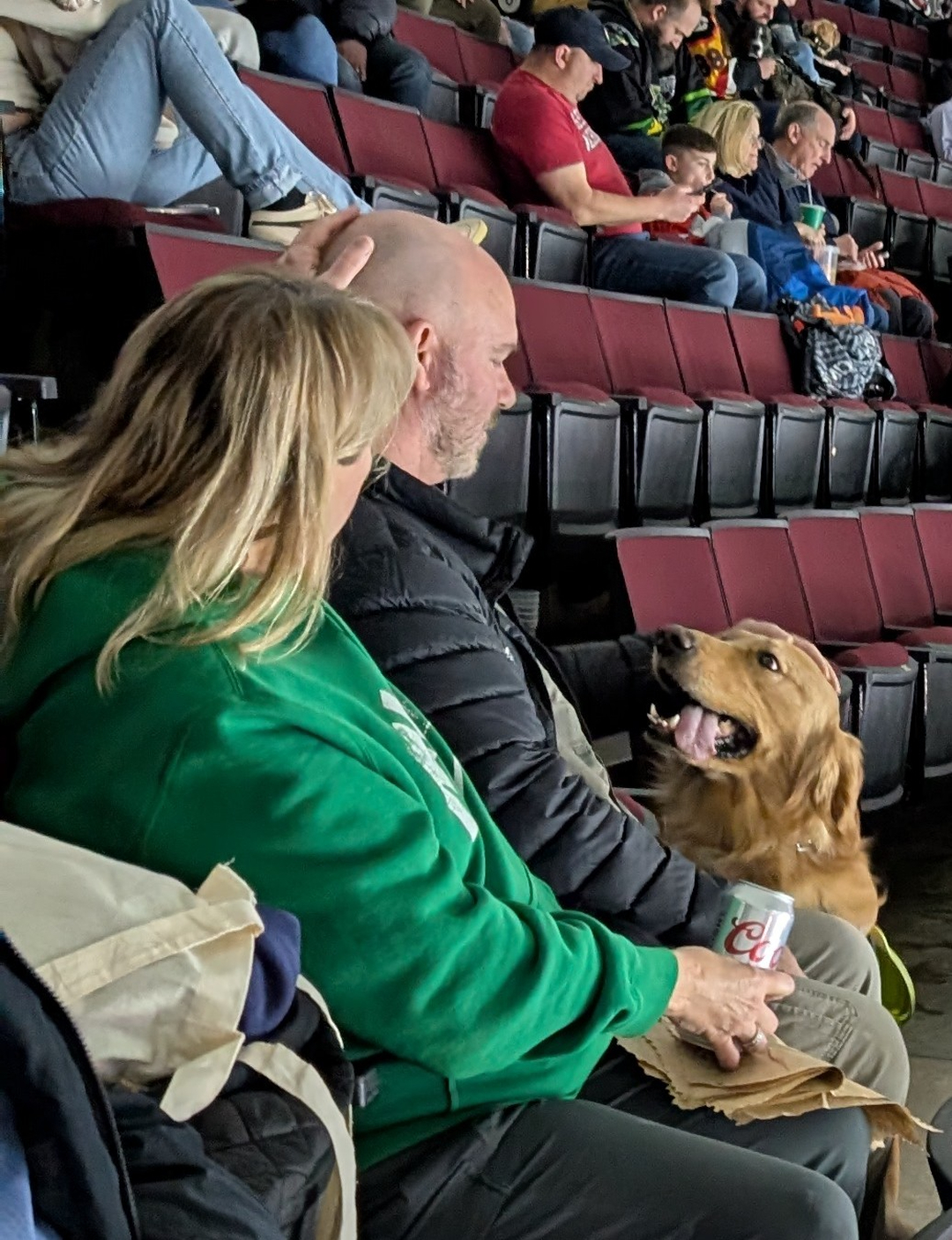 Crowded stadium, loud cheers, and a Golden Retriever just soaking it all in like a pro. 🏈 That's what real training looks like when it holds up in the real world.

Fall weekends around Cincinnati mean packed parks, festivals, and game day gatherings. If your dog can't handle the excitement, those outings turn stressful fast. Dog Training Elite Greater Cincinnati helps with dog obedience training that works around heavy distractions, using a balanced training approach with praise, treats, and minimal corrections.

Whether you need behavior training for dogs with reactivity or jumping, or advanced dog training for calm, reliable control anywhere you go, our programs are customized to your goals and your dog's needs. 🐾 Our goal is to help you better understand your dog and improve your relationship.

✔ In-home dog training that fits your schedule
✔ Group classes to proof skills around real distractions
✔ Service dog training and therapy dog pathways 🦮

Send us a message and someone from our team will reach out shortly to help schedule your evaluation.