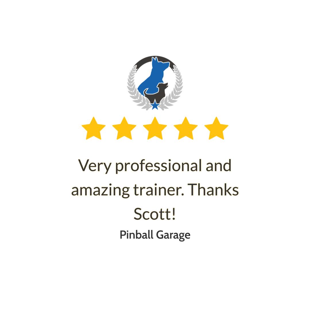 High fives for Scott and our awesome clients! We loved hearing, &ldquo;Very professional and amazing trainer,&rdquo; because that is exactly what we aim for at Dog Training Elite Greater Cincinnati. If you need dog obedience training that actually fits your daily life, our professional dog trainer can help with clear steps you can practice at home. We also offer in-home dog training for busy families in Cincinnati, Dayton, and Middletown, so your dog learns better right where real-life distractions happen. From puppy obedience training to advanced dog training, we focus on building calm, reliable habits that last. If you&rsquo;ve been searching for a dog trainer near me and want a plan that makes sense for you and your dog, reach out today to schedule your free in-home assessment.