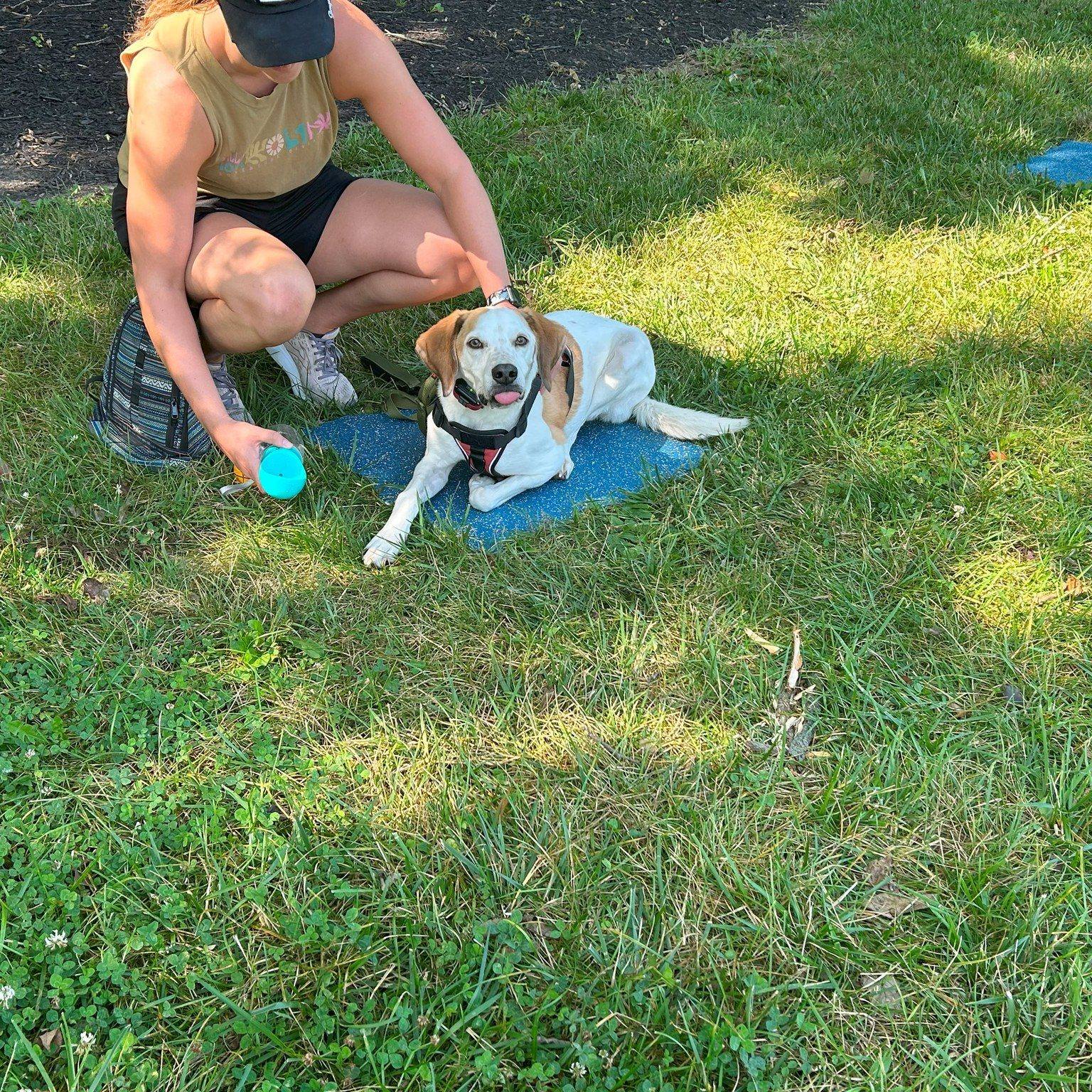 Thanks to Finn for a paw-some demonstration of 😝🐶