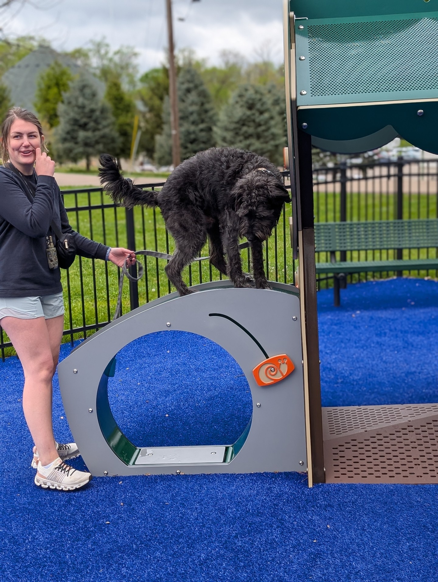 Ready for a dog that listens anywhere, even with summer distractions at the park? 🐕&zwj;🦺

Dog Training Elite Greater Cincinnati helps families in Cincinnati, Dayton, and Middletown build real obedience you can trust. Our professional dog trainer team uses a balanced training approach using praise, treats, and minimal corrections, so your dog understands what to do and can do it around distractions.

✔ In-home dog training that fits your routine 
&bull; Dog obedience training from basics to advanced dog training 
&bull; Behavior training for dogs who struggle with jumping, pulling, or reactivity 

Our programs are customized to your goals and your dog&rsquo;s needs, and our goal is to help you better understand your dog and improve your relationship. 🦴

Want to get started? Someone from our team will reach out shortly to help schedule your evaluation. 📍
