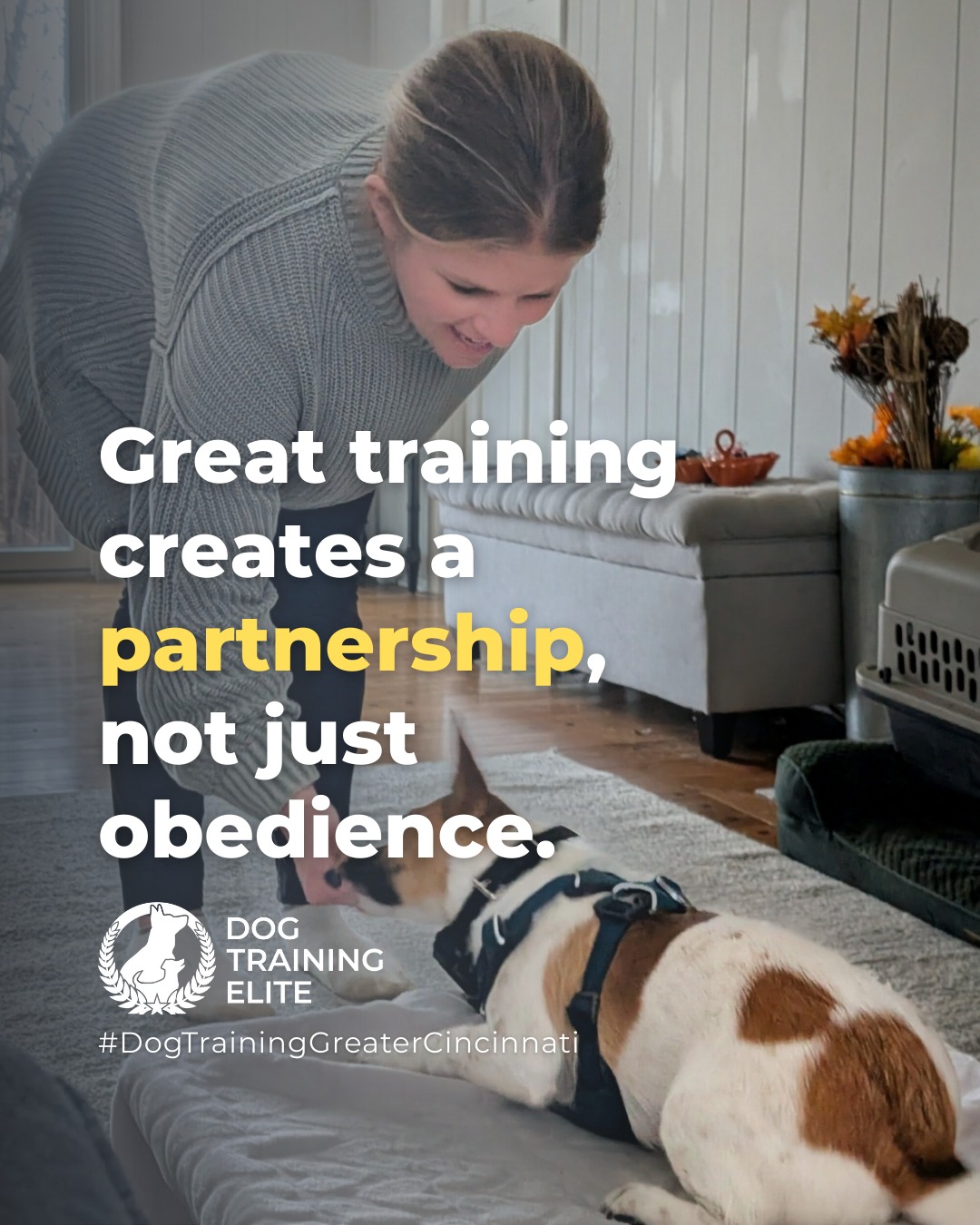 True partnership comes from understanding your dog and teaching them to respond calmly in everyday situations. 

Try these tips:
 ✅ Practice commands in different environments to generalize learning
 ✅ Reward calm behavior consistently, not just correct responses
 ✅ Use short, frequent training sessions to build focus and trust

When training becomes a partnership, your dog isn&rsquo;t just listening, they&rsquo;re learning to communicate and make good choices with confidence.

Make better behavior your first win of the year. Book your free in-home evaluation and see why Liberty Township and Maineville dog owners choose Dog Training Elite for real, lasting results.
 📍 https://maps.app.goo.gl/6oEXzBpFStru4fTv6


