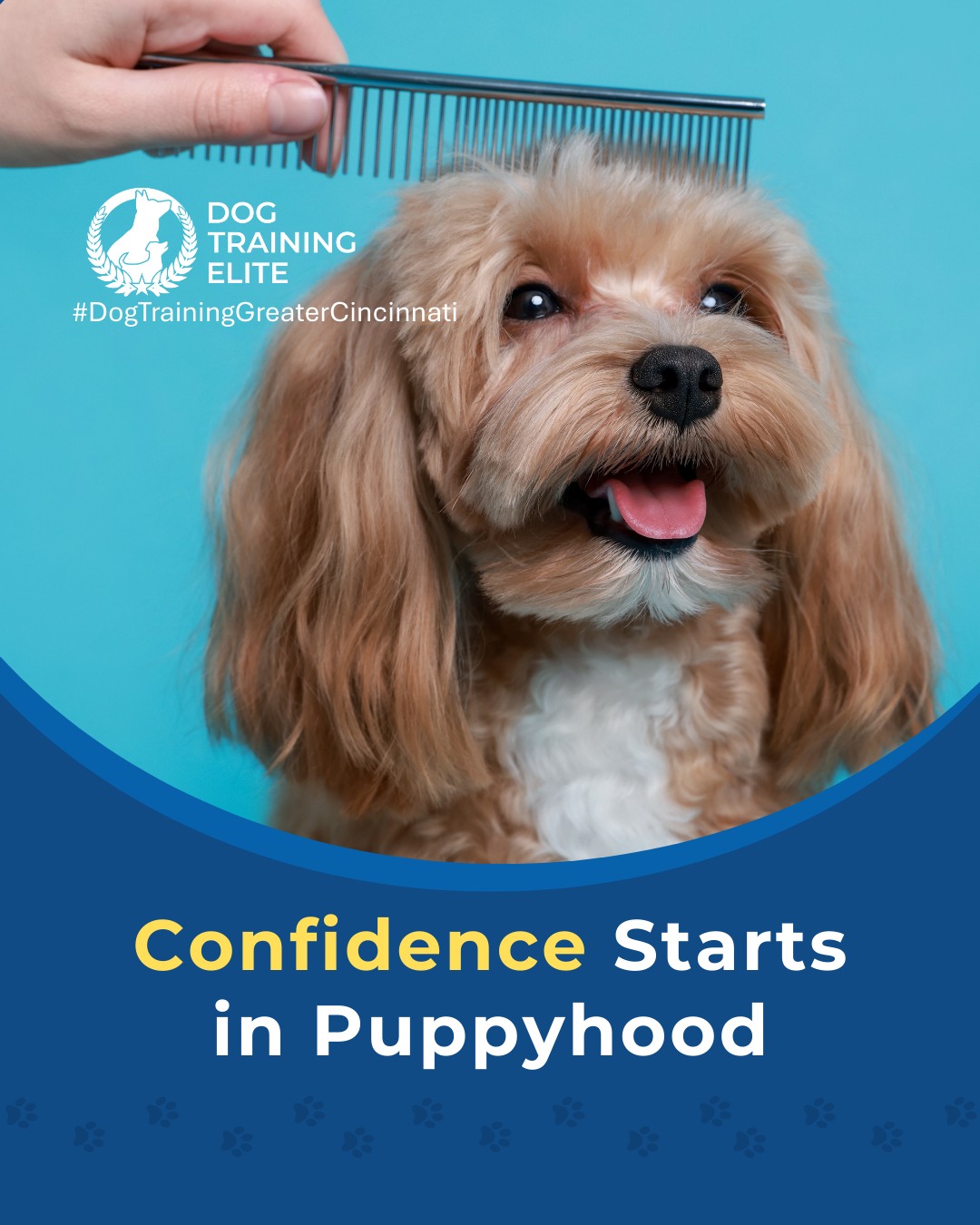 Did you know that early puppy socialization shapes how your dog sees the world for the rest of their life? Puppies who experience new sights, sounds, surfaces, and friendly interactions early on are far more likely to grow into confident, calm, well-adjusted adults.

Thoughtful socialization can help prevent issues like fear, reactivity, and anxiety later in life. That&rsquo;s why puppy training at Dog Training Elite Greater Cincinnati focuses on safe exposure, guided structure, and teaching your pup how to navigate new environments with ease.

🐶 From basic obedience to advanced service dog training, Dog Training Elite Greater Cincinnati helps dogs near Liberty Township build better behavior and stronger bonds this season. 🐾
 📍 https://maps.app.goo.gl/6oEXzBpFStru4fTv6


