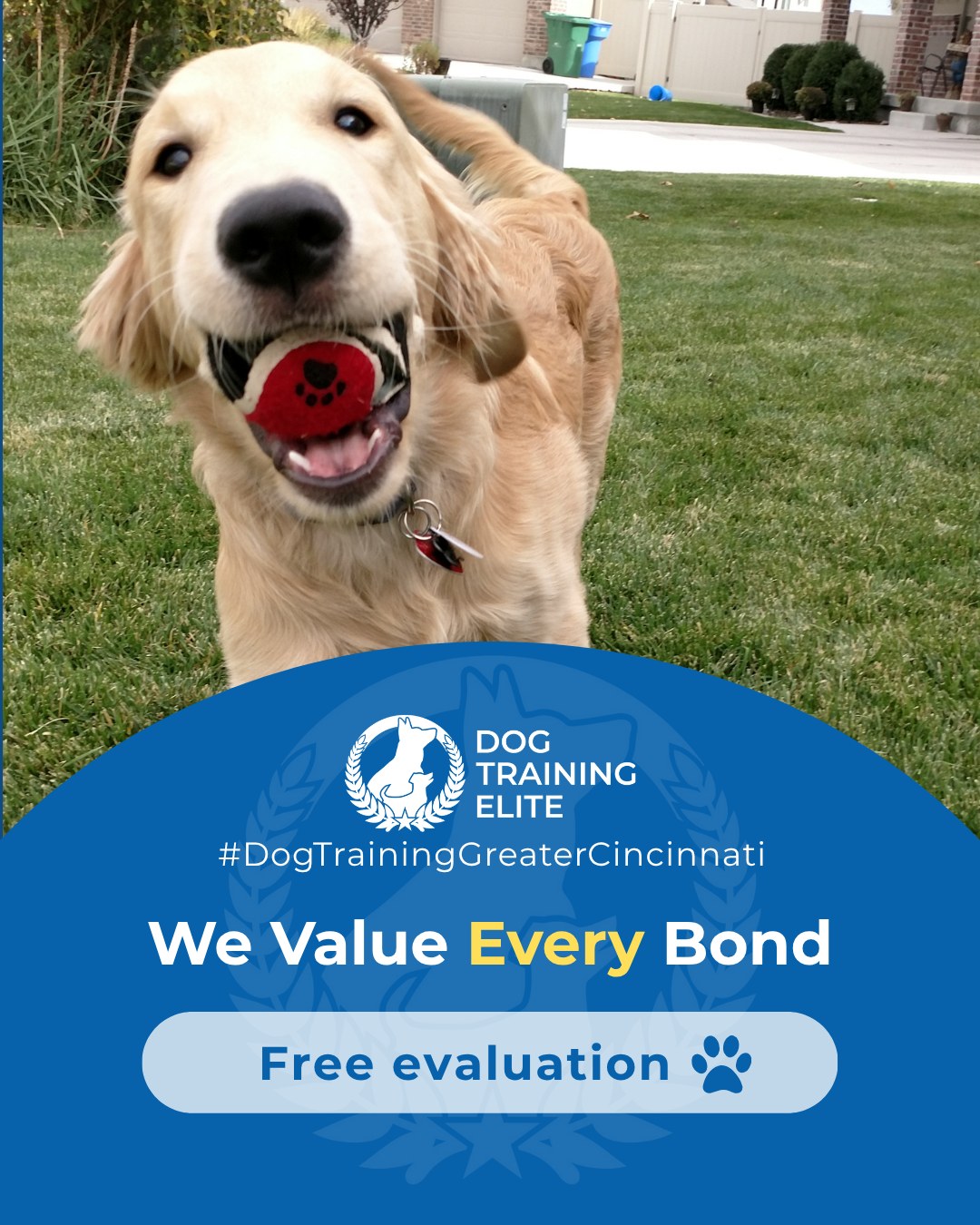 Is your dog really telling you how they feel? Every dog-owner relationship is unique. Training with Scott & Jen at Dog Training Elite Greater Cincinnati builds communication, focus, and trust, whether you&rsquo;re working on obedience, therapy, or service skills. Learning to read your dog&rsquo;s signals strengthens your bond and helps them thrive in every situation.

 Warm up your winter with a well-trained pup. Schedule your free in-home evaluation and see why families in Liberty Township, West Chester, and surrounding areas trust Dog Training Elite for results that last through every season.
📍 https://maps.app.goo.gl/6oEXzBpFStru4fTv6


