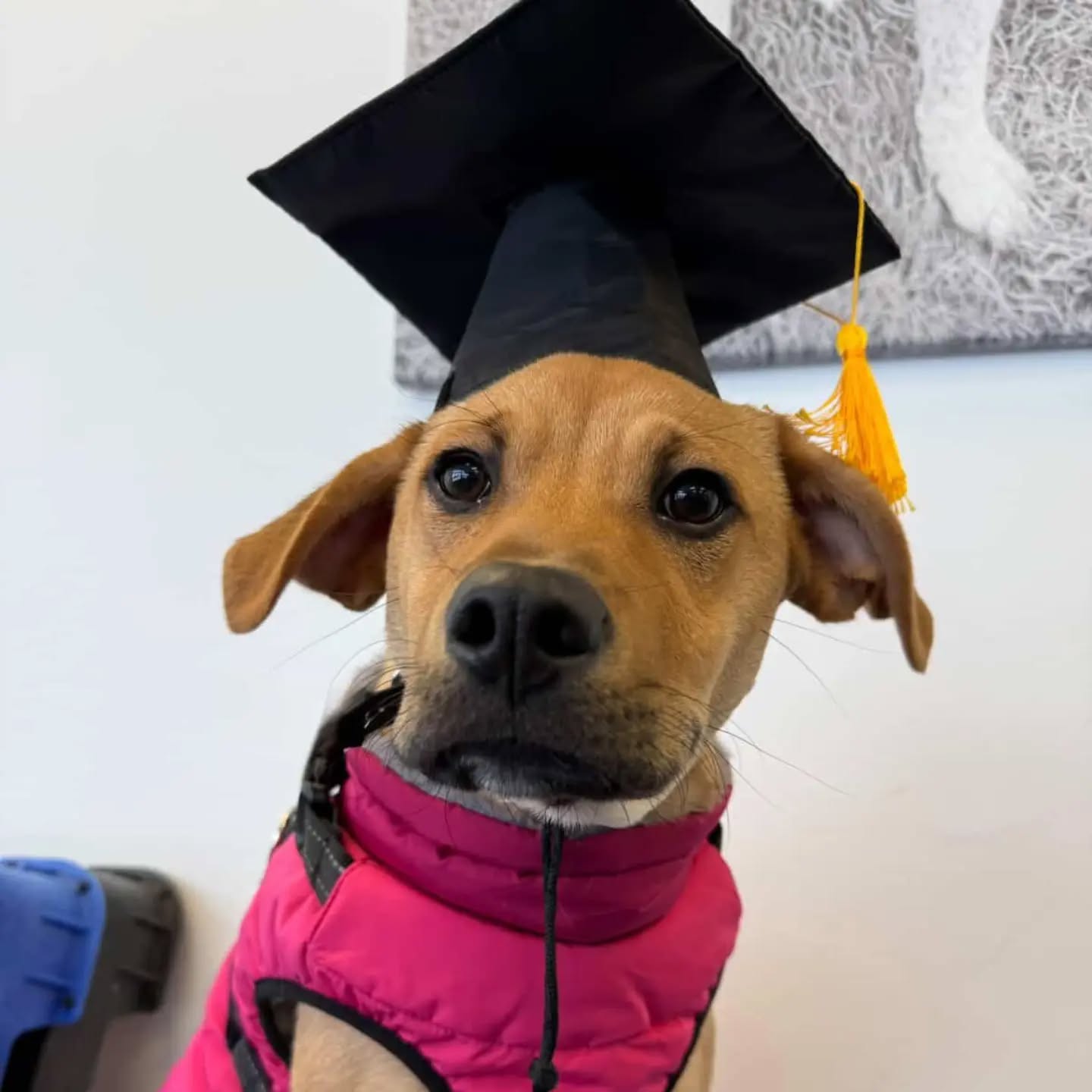 Piper had graduated!!!!!

