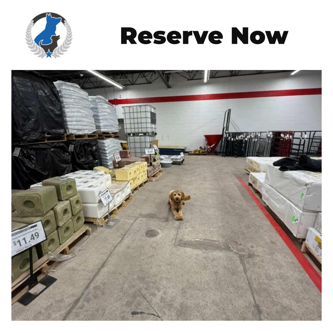 Need help with real-world manners, not just sits in the living room? Dog Training Elite Greater Cleveland is a local Dog Trainer for families across the west side and nearby suburbs who want clear results and a calm dog in everyday places. Our Dog behavior expert team focuses on In home dog training so your dog learns where the problems actually happen, like leash pulling, jumping, or not coming when called. If you&rsquo;ve been searching for a dog trainer near me or dog training cleveland, we keep it simple with structured Basic obedience lessons and step-by-step practice you can repeat. We also work with reactive and fearful dogs, and our Aggressive dog trainer programs are built to improve safety and confidence for both dog and owner. Looking for Service Dog Training? We can help you build reliable public manners and task work with a plan that fits your goals.