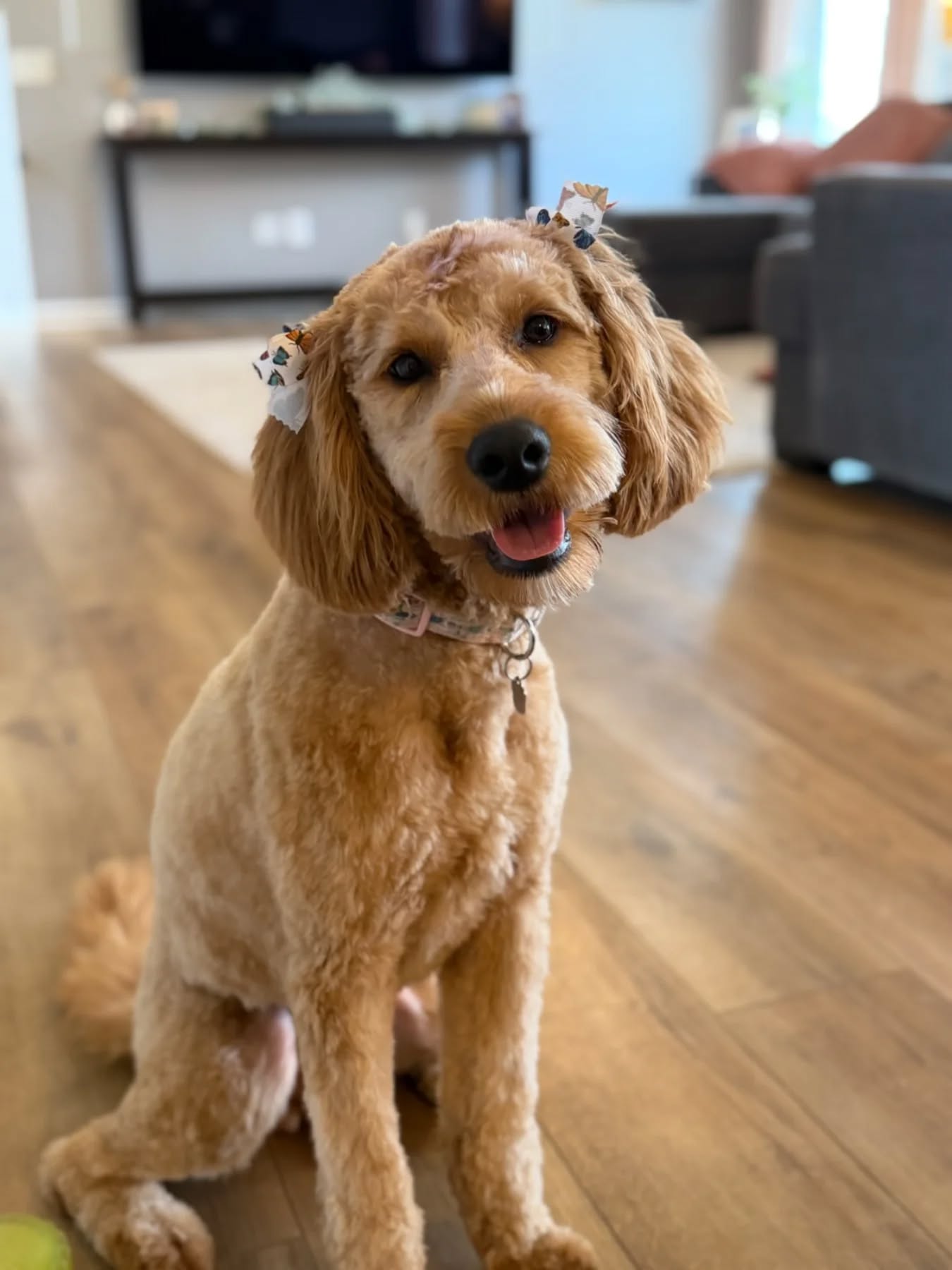 Kiska is so beautiful ❤️❤️ 🤩❤️🤩❤️🤩❤️🤩❤️❤️ 

