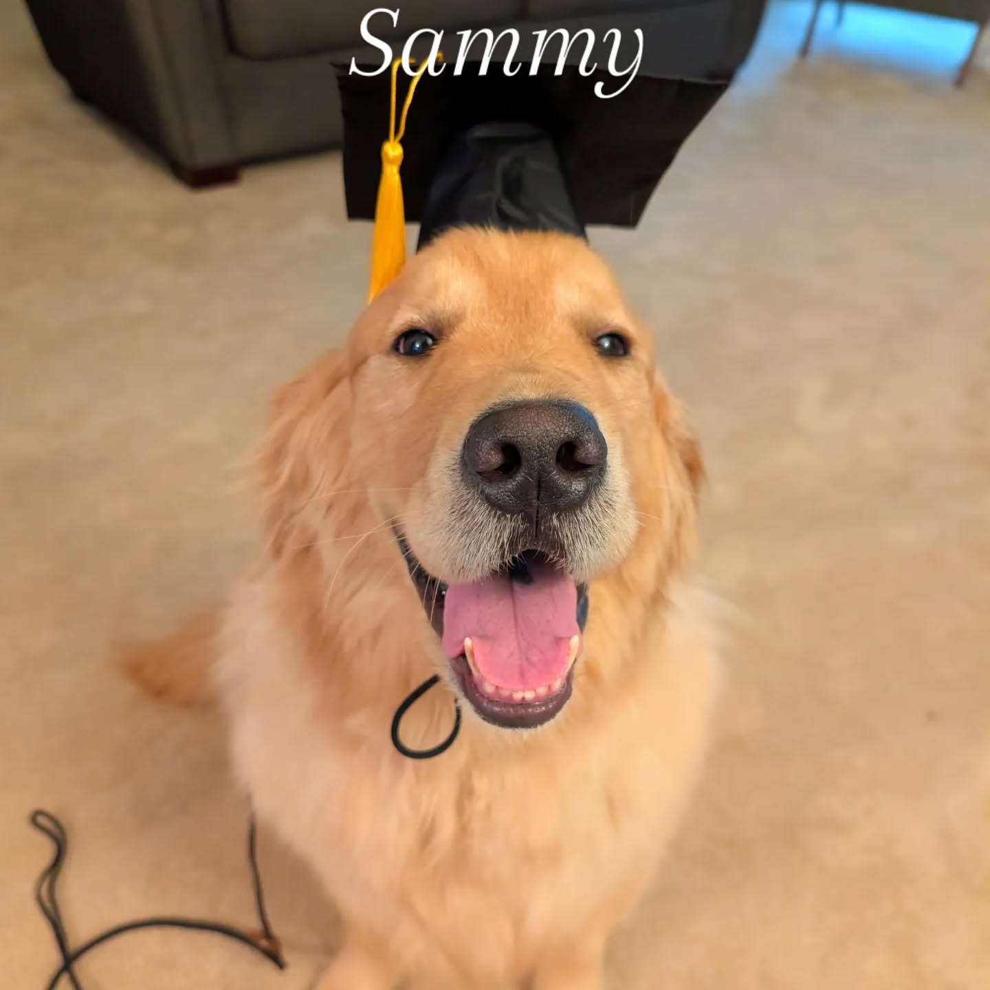 Sammy has graduated.
