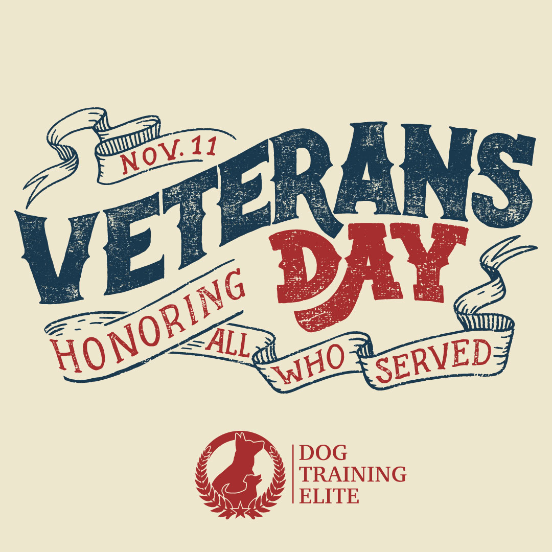 Today, we honor the brave men and women who have served our country. 🇺🇸
Thank you, Veterans, for your courage, sacrifice, and dedication.
Dog Training Elite is proud to support our veteran community — today and every day. ❤️🐾
Happy Veterans Day.