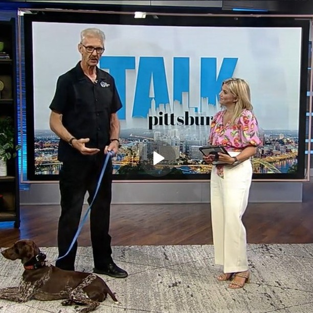 Thanks to Heather Abraham and the production crew at KDKA for having Tess and me on TALK PITTSBURGH to discuss Keeping your dog calm during a fireworks display https://www.cbsnews.com/.../helpful-hints-on-keeping.../... I hope the segment was helpful to those of you with dogs that are afraid of fireworks. While the segment focused on managing your dog's anxiety, the ultimate cure for this and many other dog behaviors, including dog and human reactivity, is training. Please contact a professional trainer if you require assistance.
