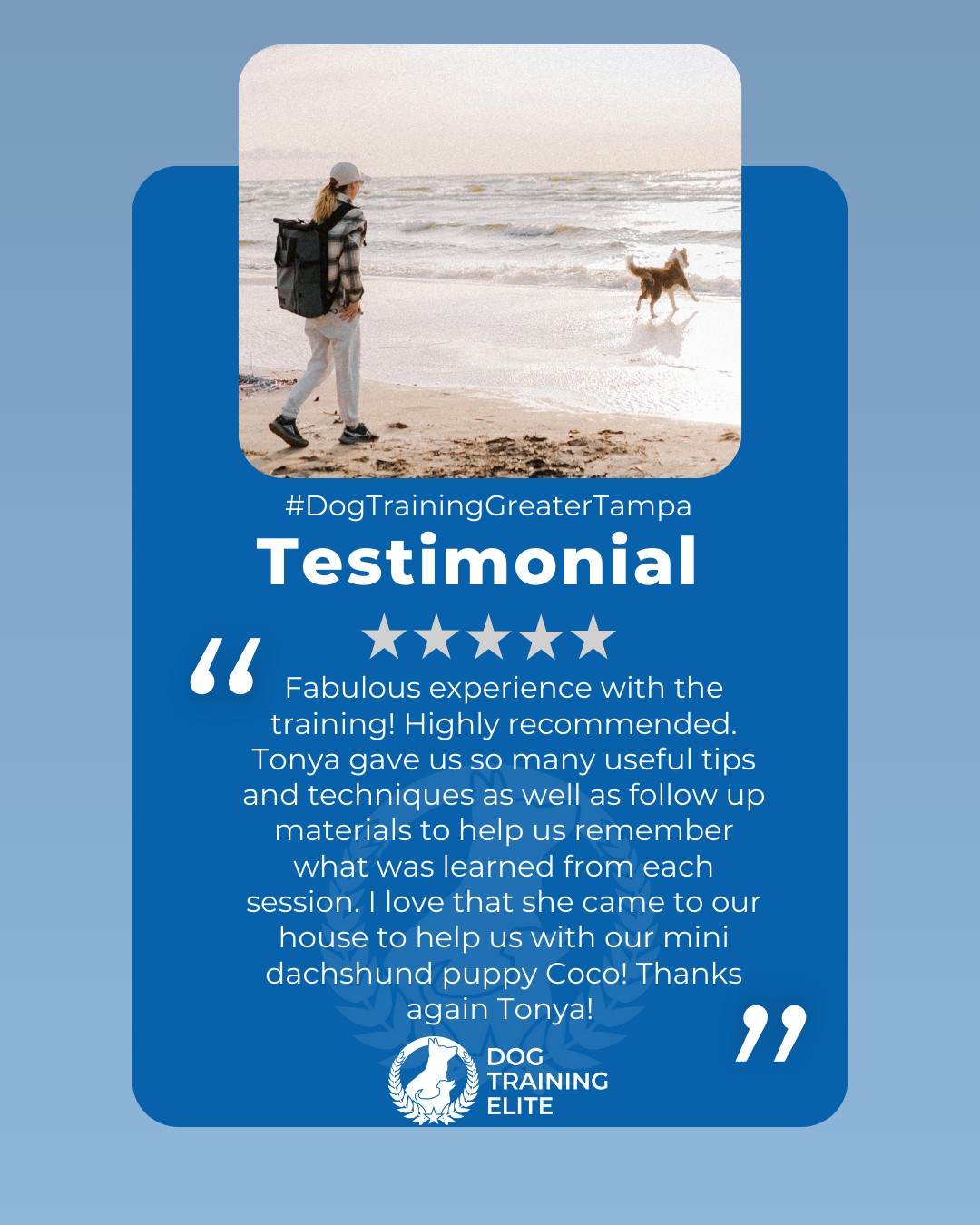 &ldquo;Fabulous experience with the training! Highly recommended. Tonya gave us so many useful tips and techniques as well as follow up materials to help us remember what was learned from each session. I love that she came to our house to help us with our mini dachshund puppy Coco! Thanks again Tonya! &rdquo;
Review from a happy customer 🐾

Our service dog program helps clients across Land O' Lakes build independence and security through clear, professional training.

 🎯 From basic obedience to advanced service dog training, Dog Training Elite Greater Tampa helps dogs near Wesley Chapel build better behavior and stronger bonds this season. 🐾
 📍 https://maps.app.goo.gl/1ZJg4LdYD2tp6W476



