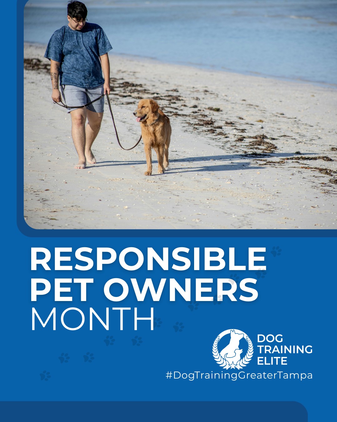 This February, we're celebrating Responsible Pet Owners Month! 🎉 Responsible pet ownership means providing proper training, care, and a loving home. 

What's one responsible pet owner tip you live by? Share below! And if training is on your list, Dog Training Elite Greater Tampa is here to help. 

 From basic obedience to advanced service dog training, Dog Training Elite Greater Tampa helps dogs near Wesley Chapel build better behavior and stronger bonds this season. 🐾
 📍https://maps.app.goo.gl/1ZJg4LdYD2tp6W476




